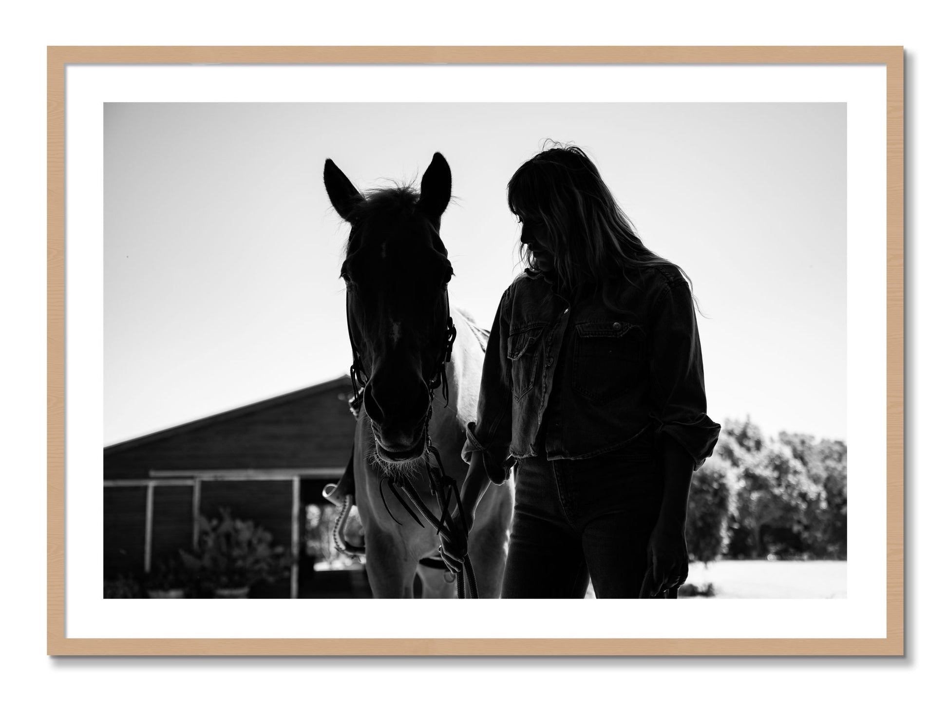 Framed photograph of American Quarter Horse by Dylan Ozanich, Oak frame, Borders