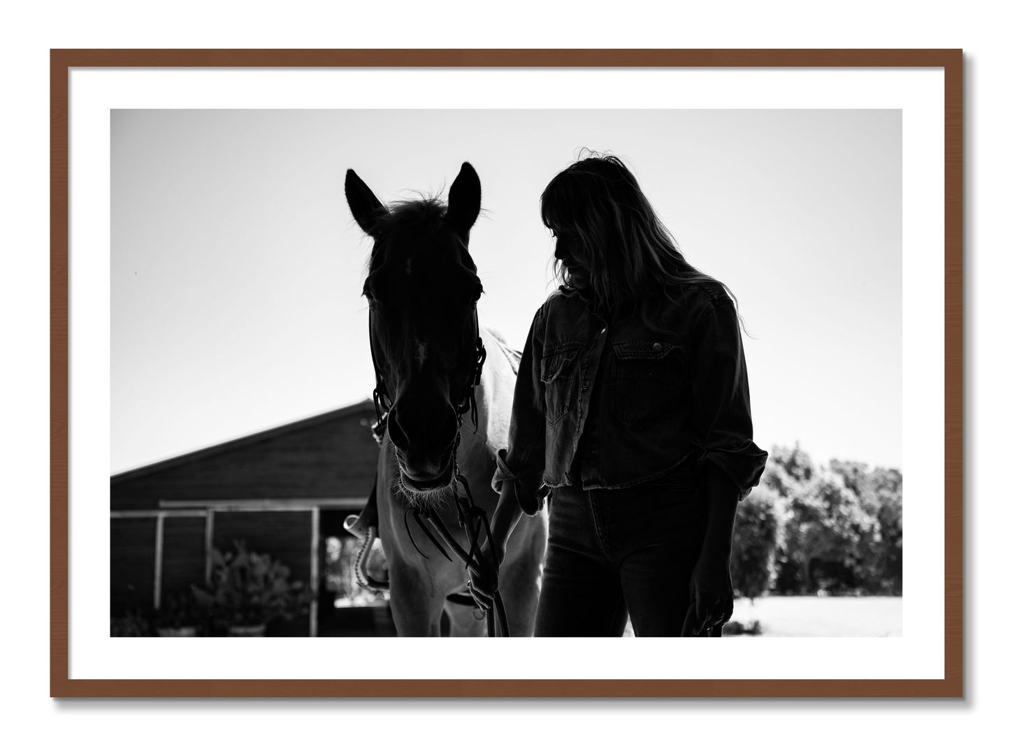 Framed photograph of American Quarter Horse by Dylan Ozanich, Walnut frame, Borders