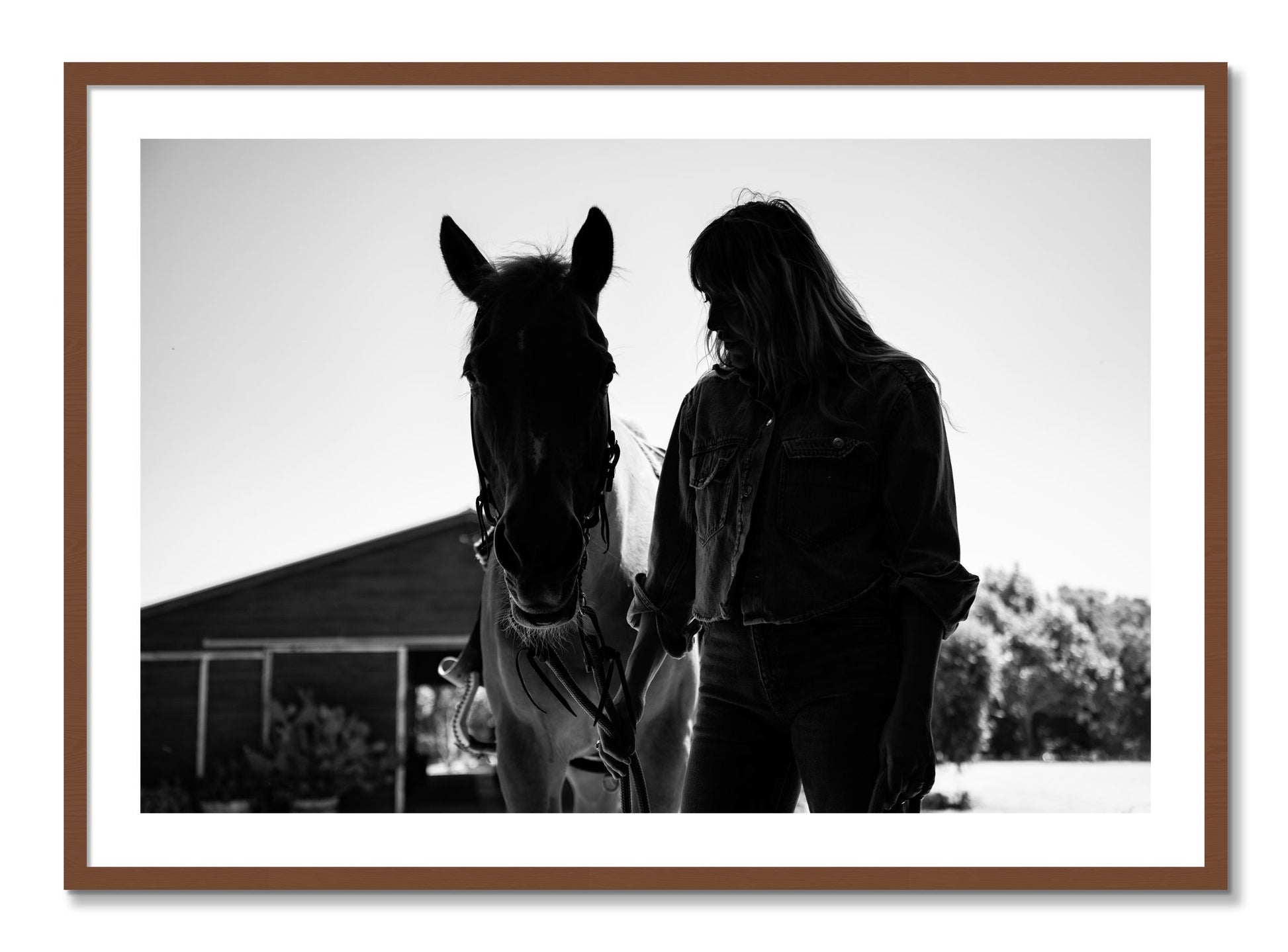 Framed photograph of American Quarter Horse by Dylan Ozanich, Walnut frame, Borders