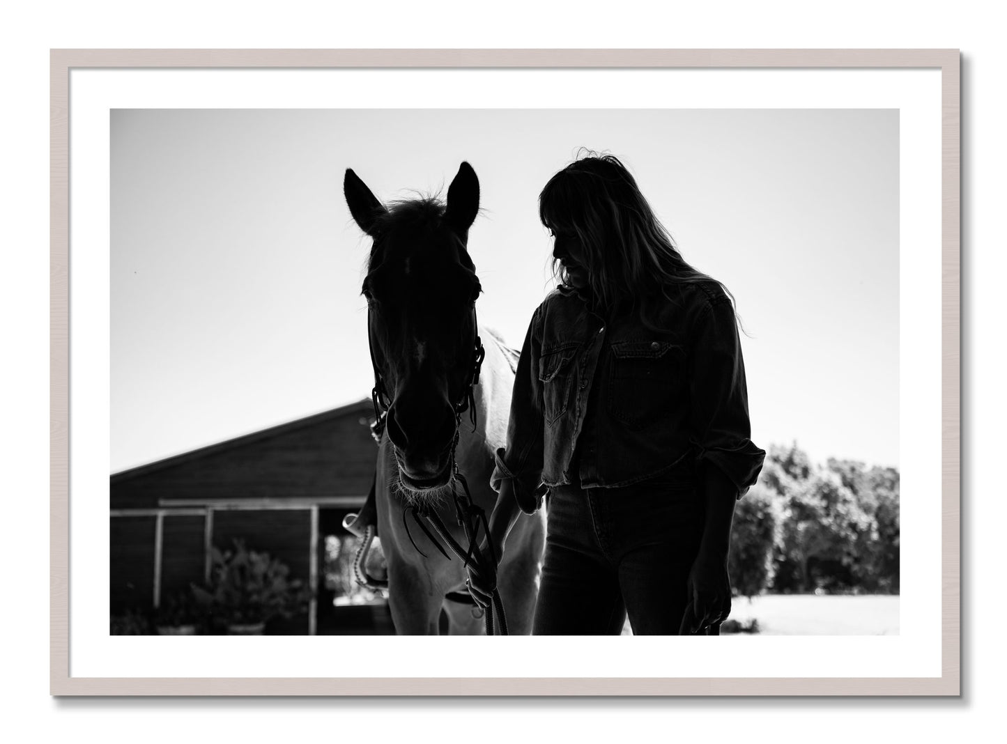 Framed photograph of American Quarter Horse by Dylan Ozanich, White Maple frame, Borders