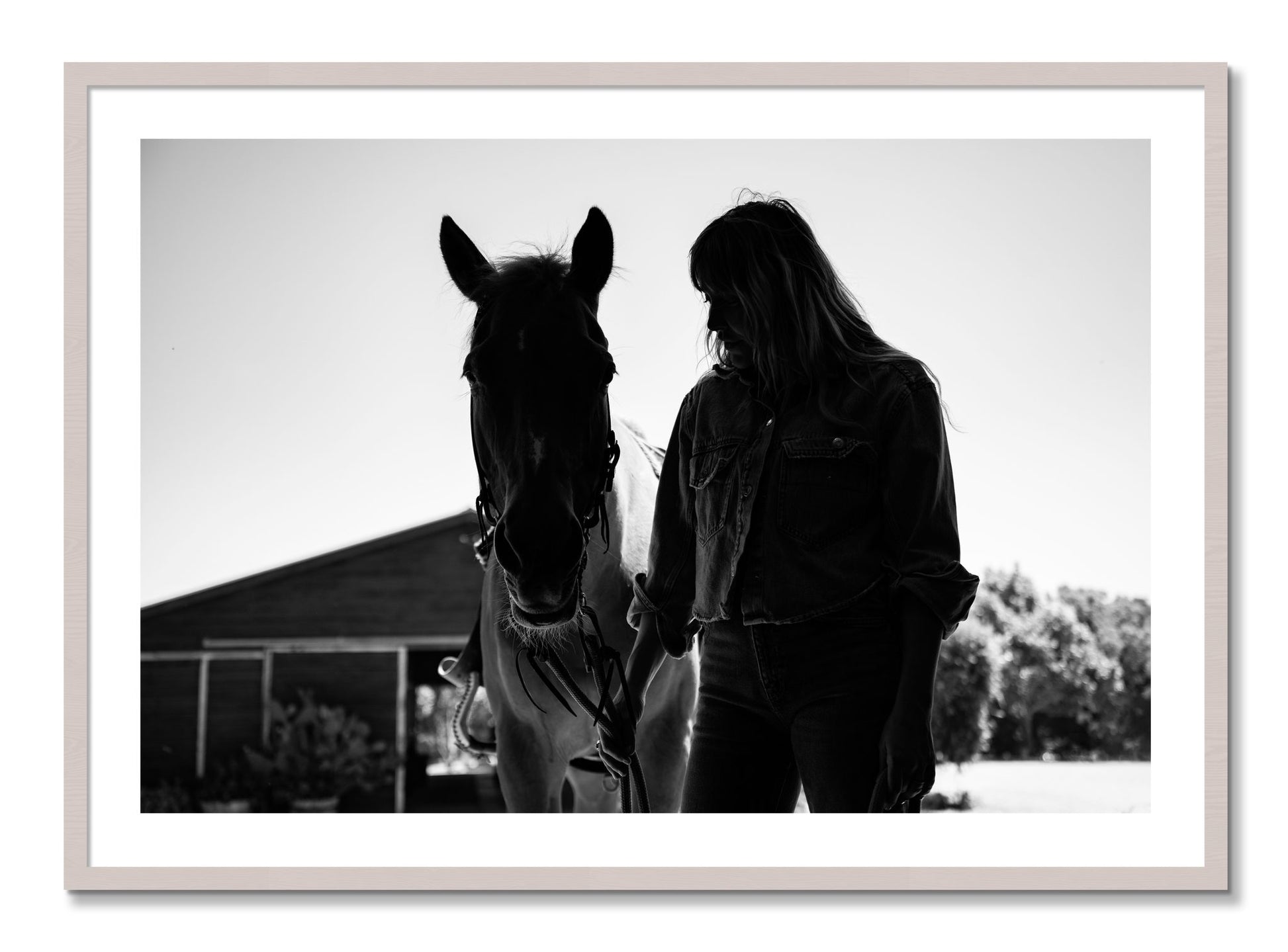 Framed photograph of American Quarter Horse by Dylan Ozanich, White Maple frame, Borders