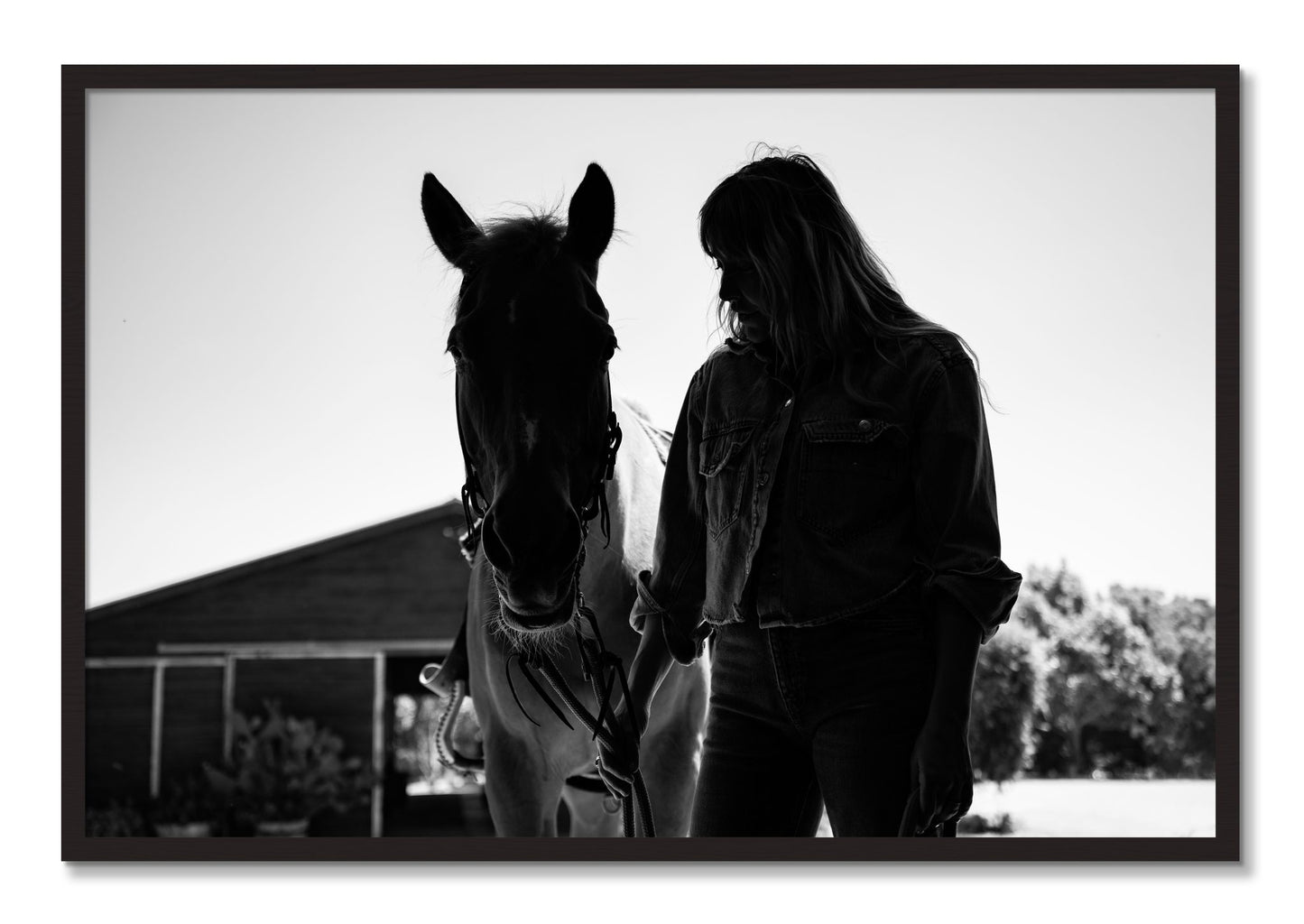 Framed photograph of American Quarter Horse by Dylan Ozanich, Black Walnut frame, Full Bleed