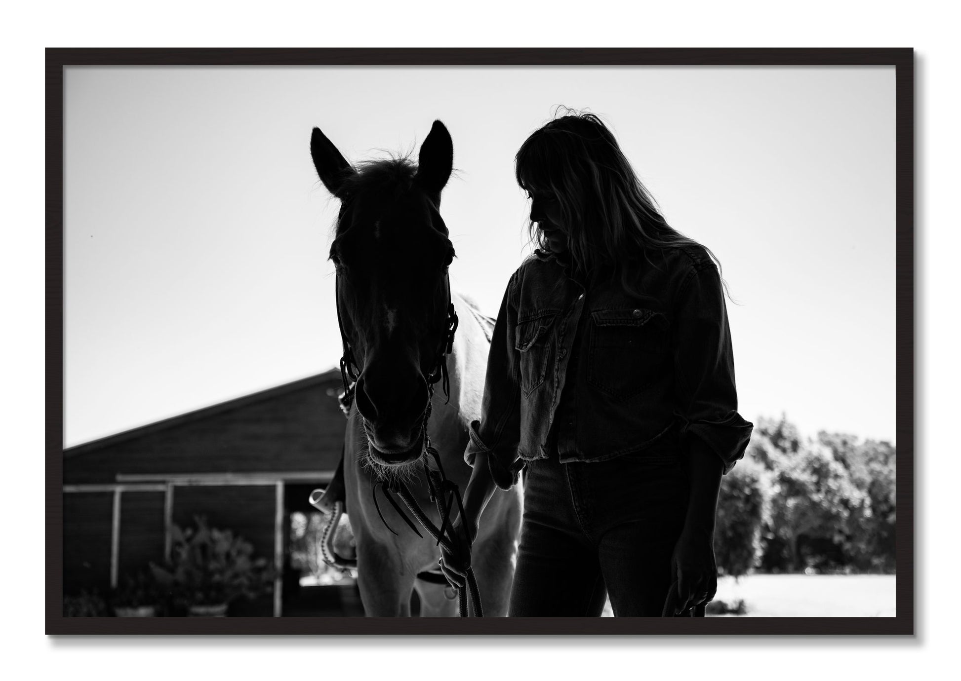 Framed photograph of American Quarter Horse by Dylan Ozanich, Black Walnut frame, Full Bleed