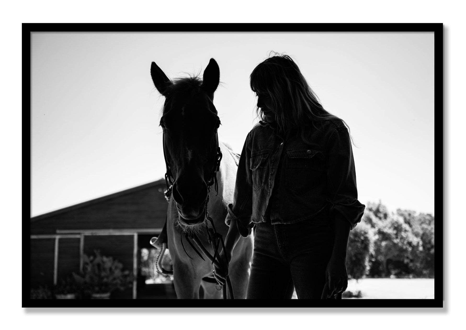Framed photograph of American Quarter Horse by Dylan Ozanich, Black frame, Full Bleed