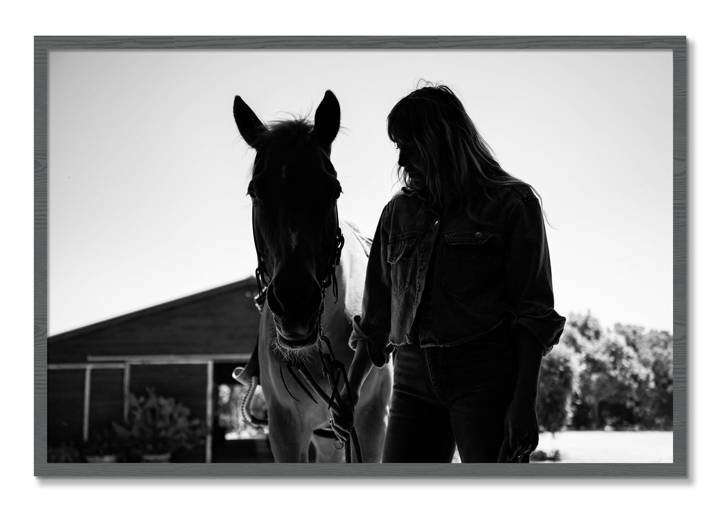 Framed photograph of American Quarter Horse by Dylan Ozanich, Grey frame, Full Bleed