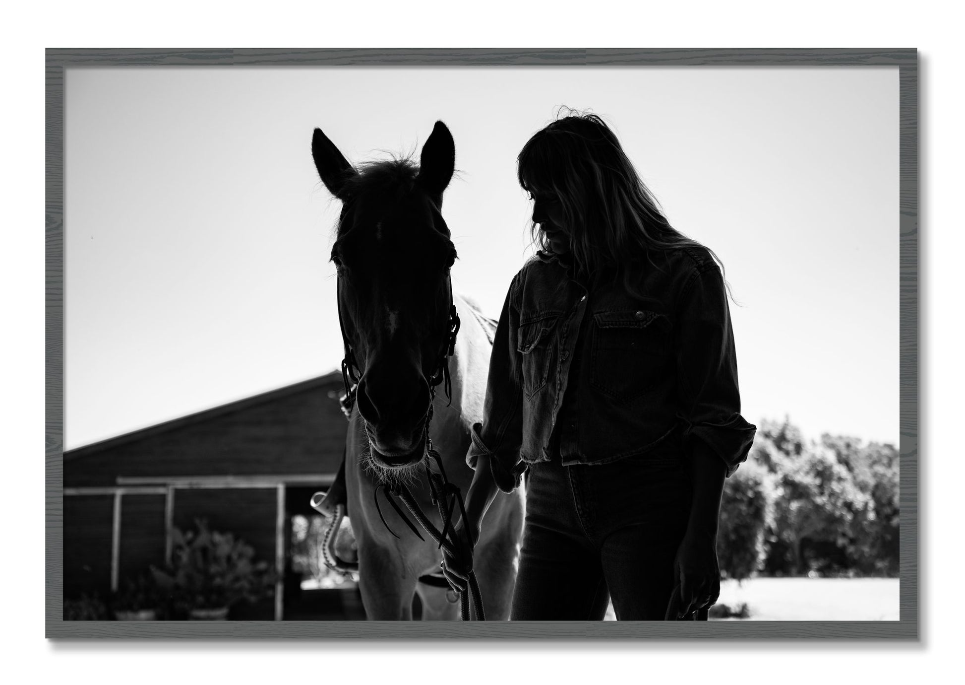 Framed photograph of American Quarter Horse by Dylan Ozanich, Grey frame, Full Bleed