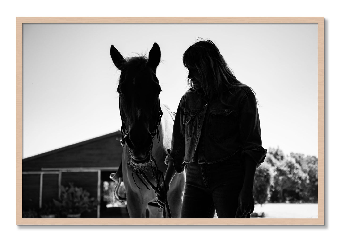 Framed photograph of American Quarter Horse by Dylan Ozanich, Maple frame, Full Bleed
