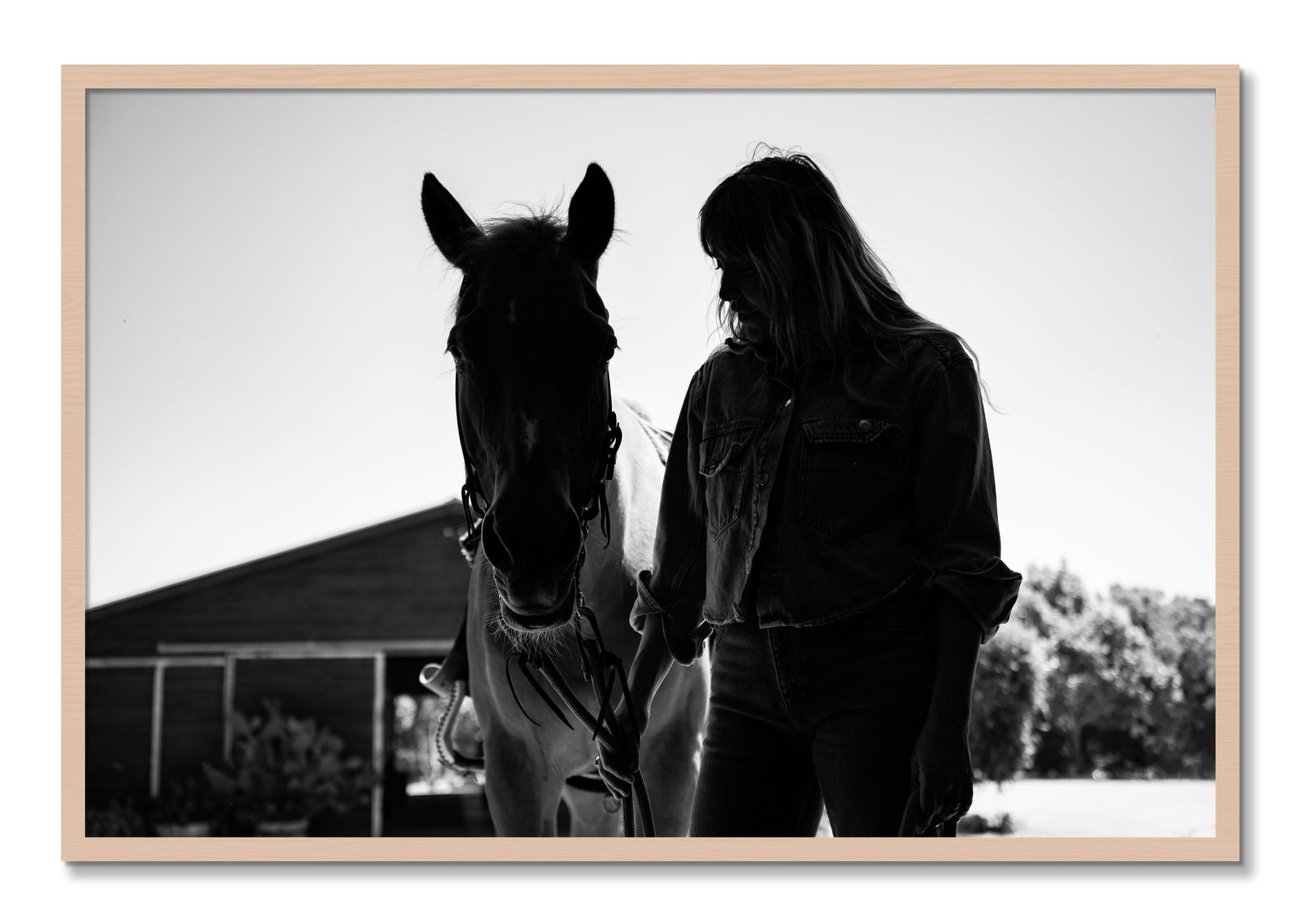 Framed photograph of American Quarter Horse by Dylan Ozanich, Maple frame, Full Bleed
