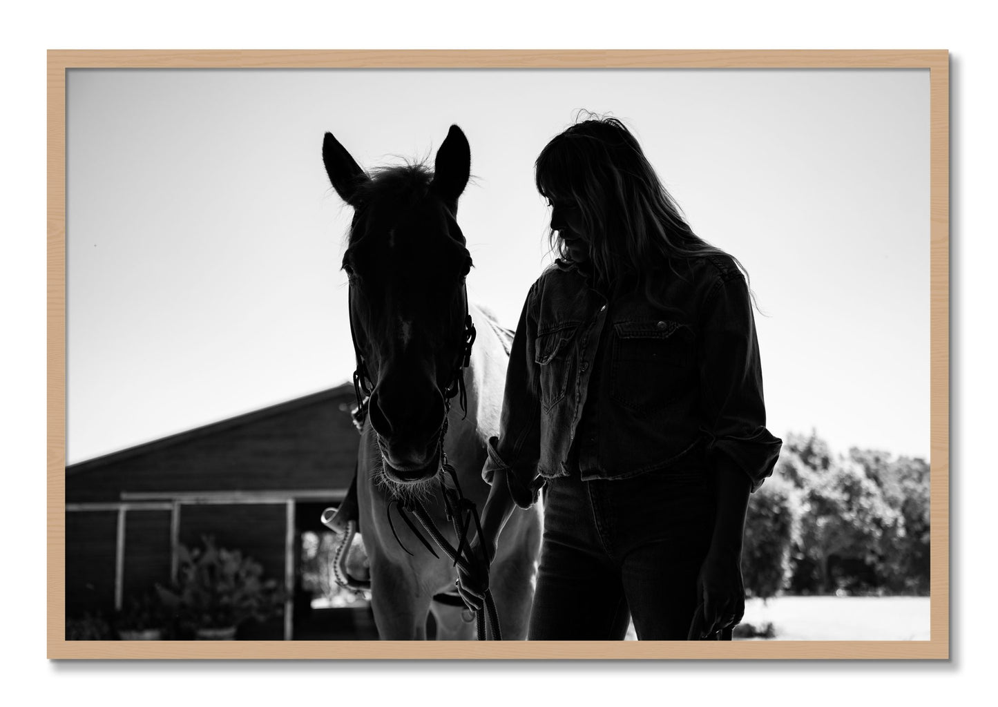 Framed photograph of American Quarter Horse by Dylan Ozanich, Oak frame, Full Bleed