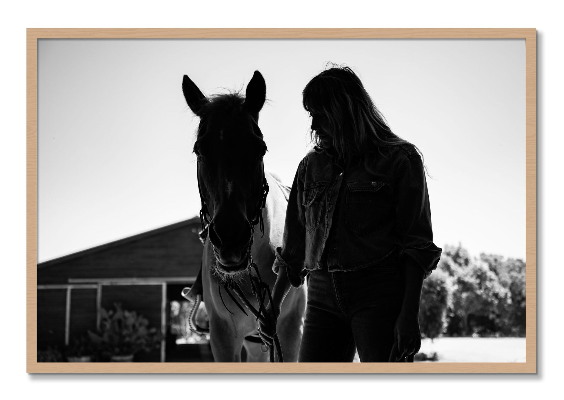 Framed photograph of American Quarter Horse by Dylan Ozanich, Oak frame, Full Bleed