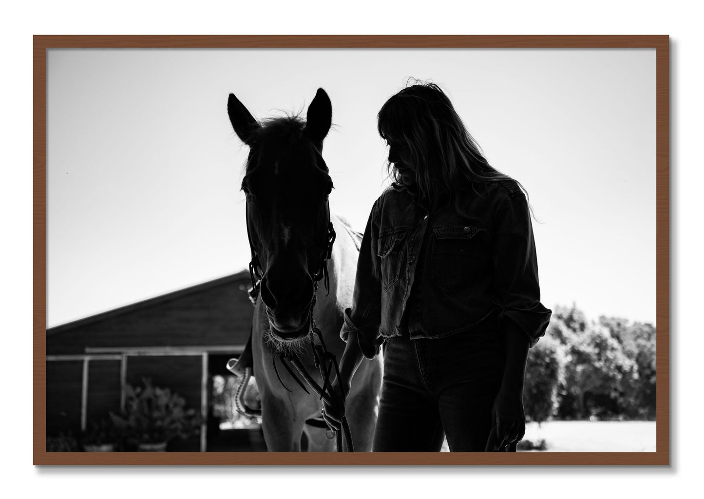 Framed photograph of American Quarter Horse by Dylan Ozanich, Walnut frame, Full Bleed