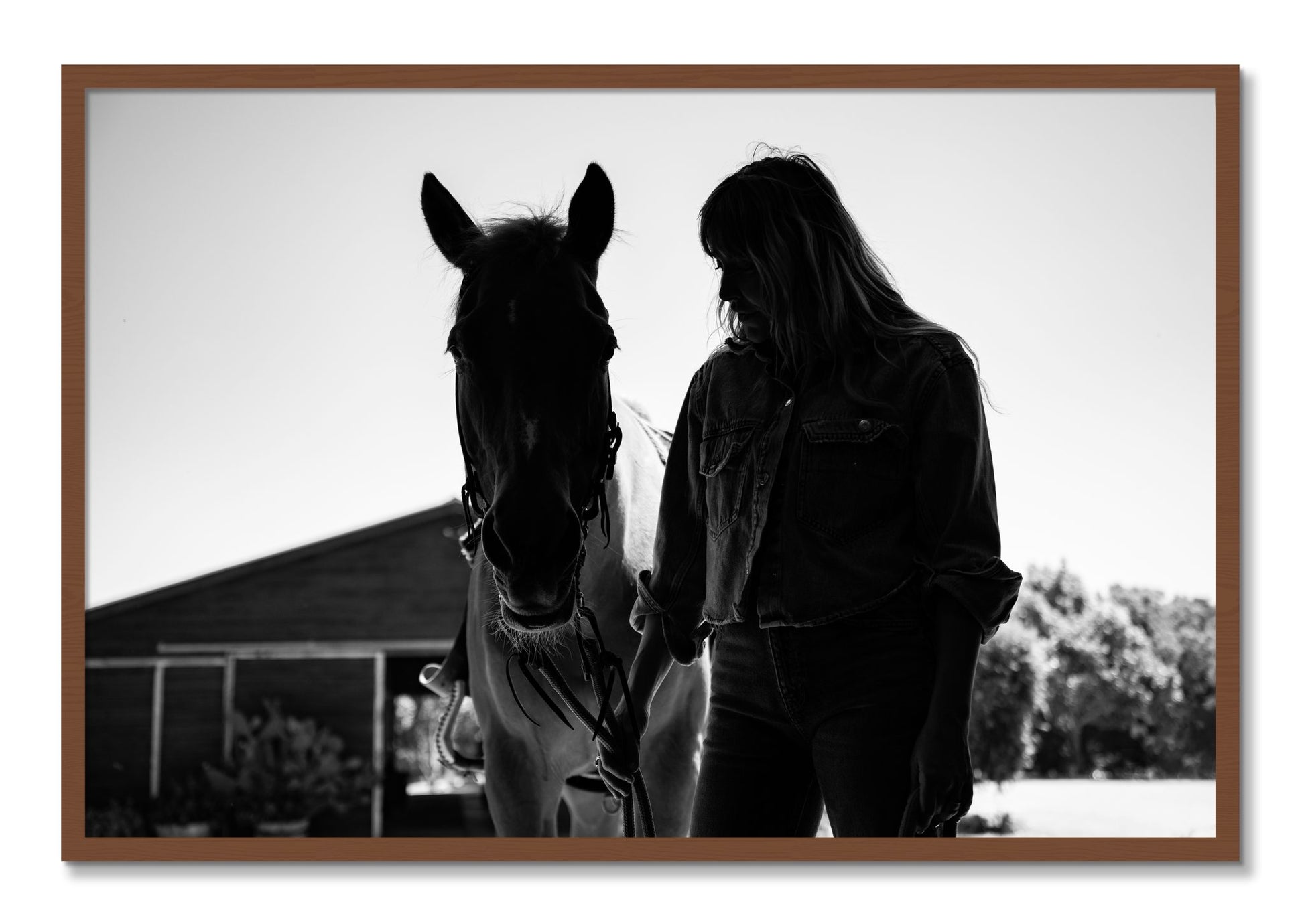 Framed photograph of American Quarter Horse by Dylan Ozanich, Walnut frame, Full Bleed