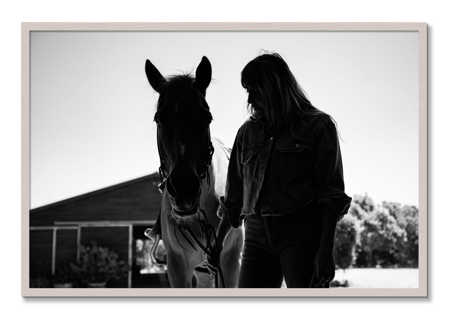 Framed photograph of American Quarter Horse by Dylan Ozanich, White Maple frame, Full Bleed