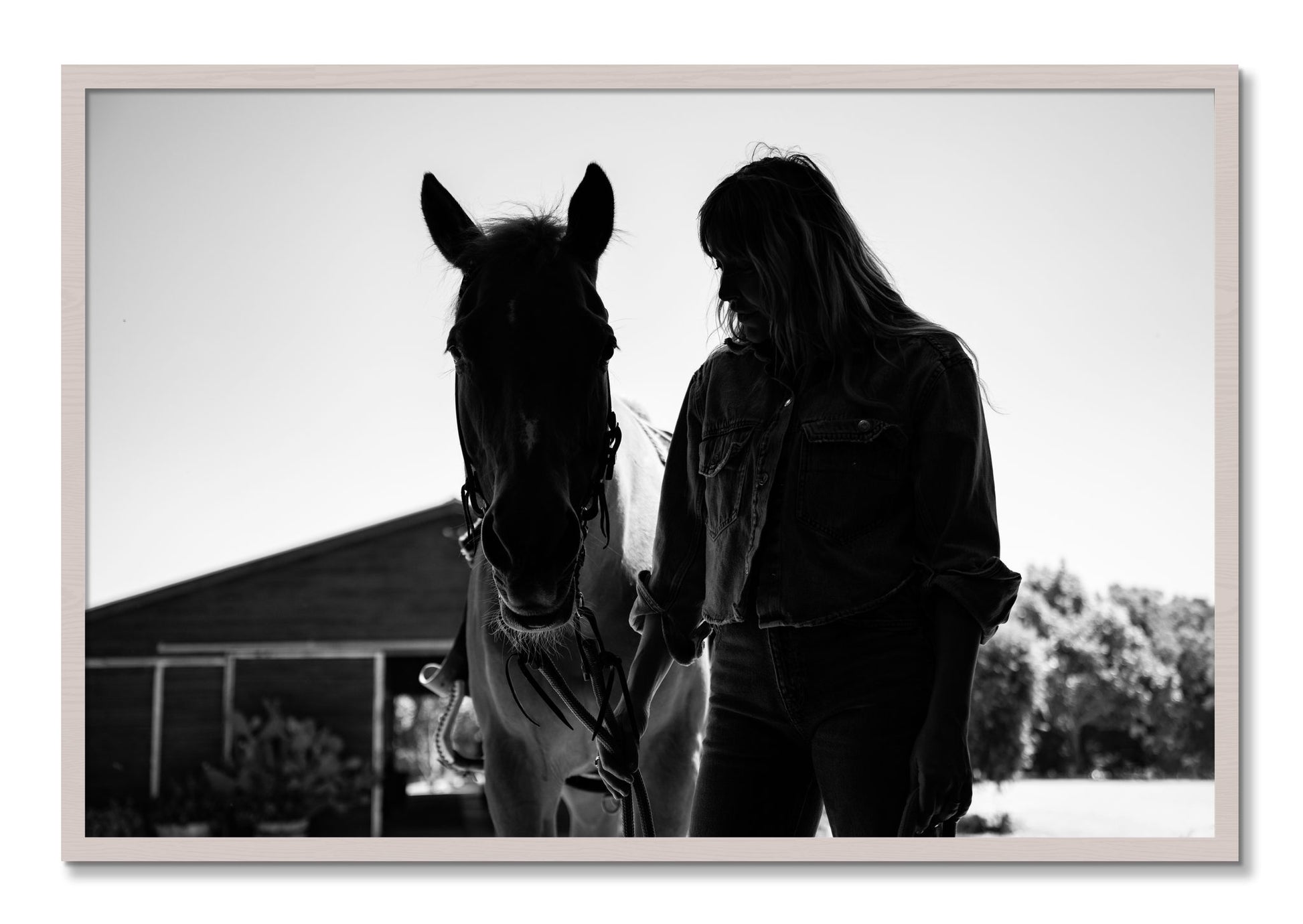 Framed photograph of American Quarter Horse by Dylan Ozanich, White Maple frame, Full Bleed