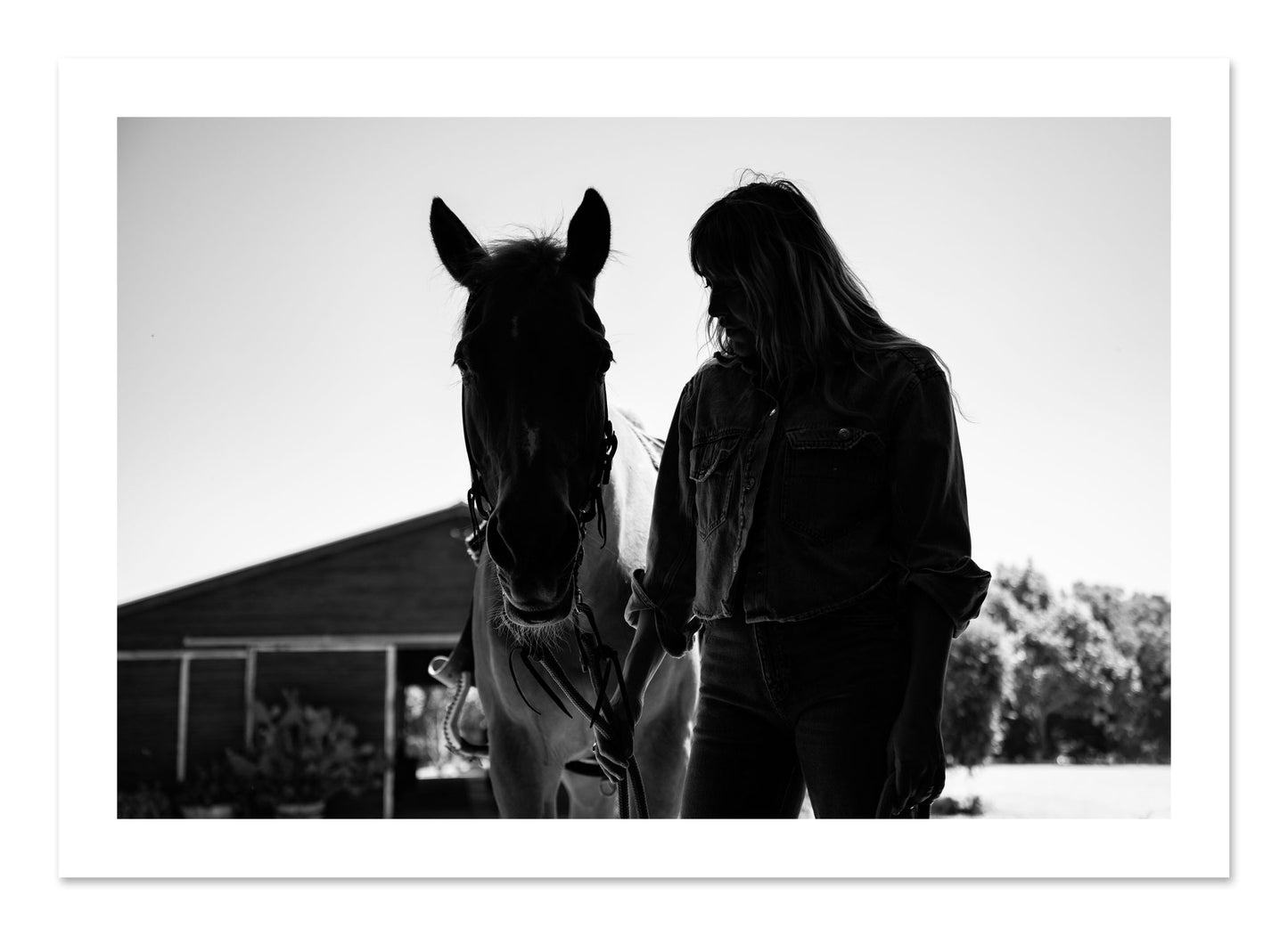 Fine art print of American Quarter Horse by Dylan Ozanich, unframed