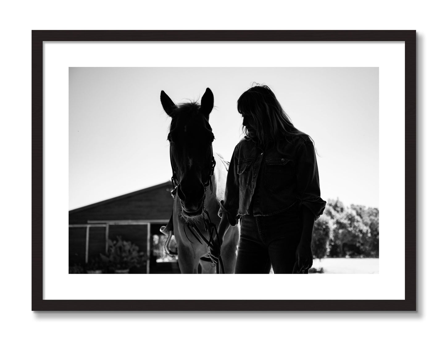Framed photograph of American Quarter Horse by Dylan Ozanich, Black Walnut frame, Borders