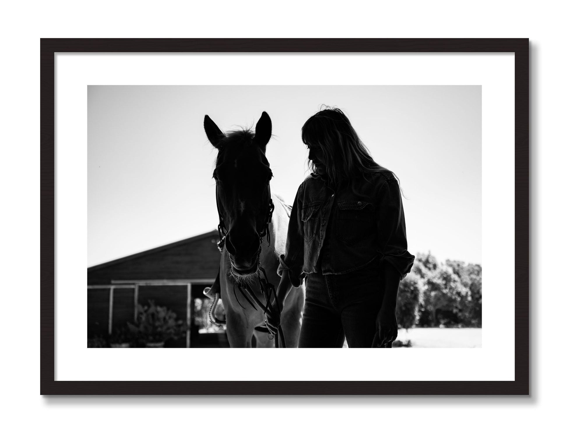 Framed photograph of American Quarter Horse by Dylan Ozanich, Black Walnut frame, Borders