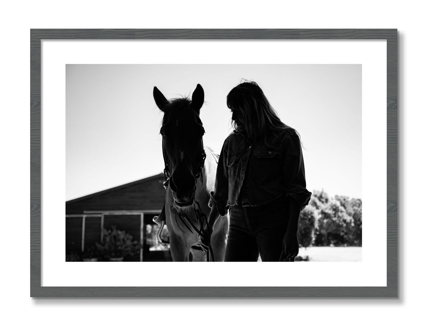 Framed photograph of American Quarter Horse by Dylan Ozanich, Grey frame, Borders