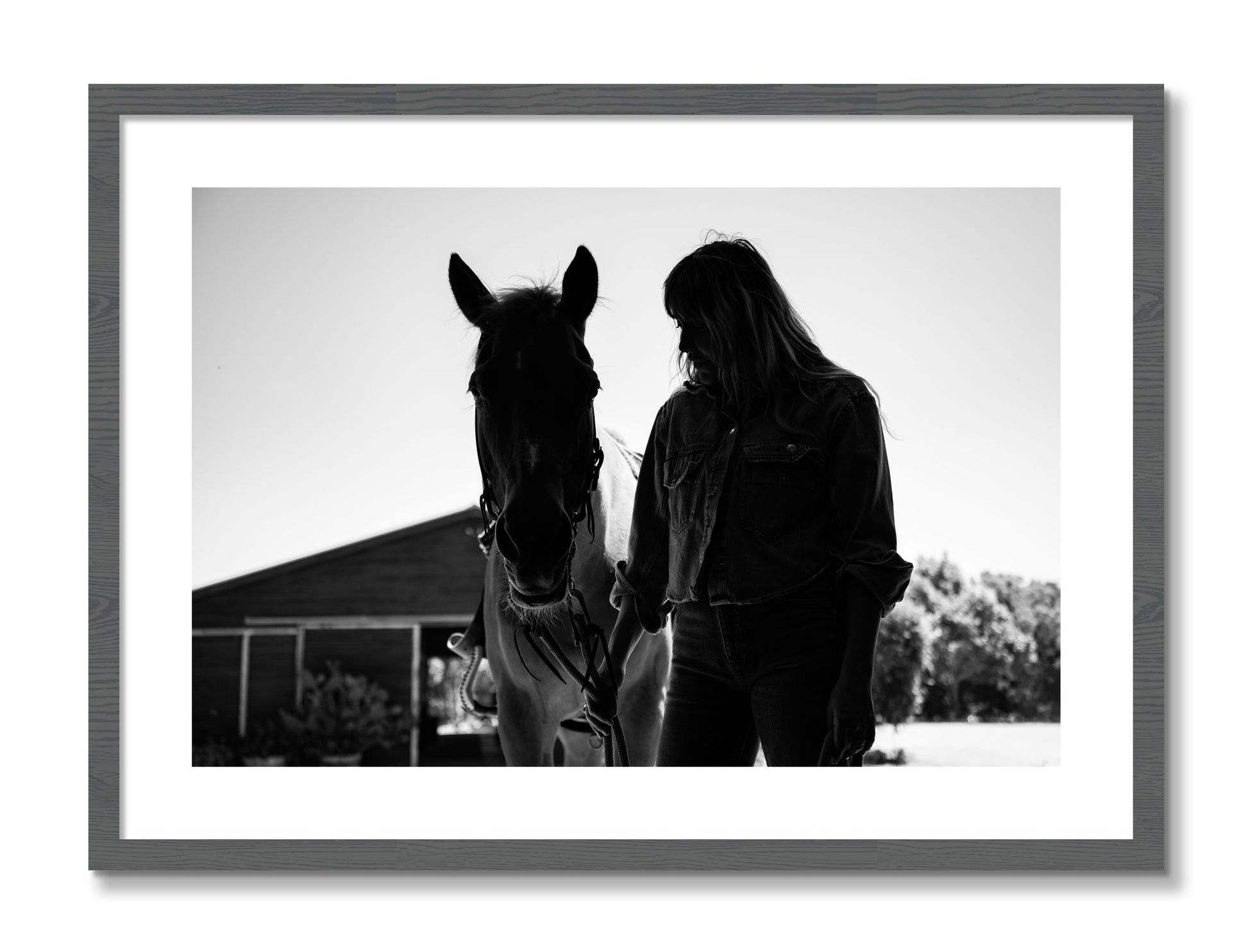 Framed photograph of American Quarter Horse by Dylan Ozanich, Grey frame, Borders