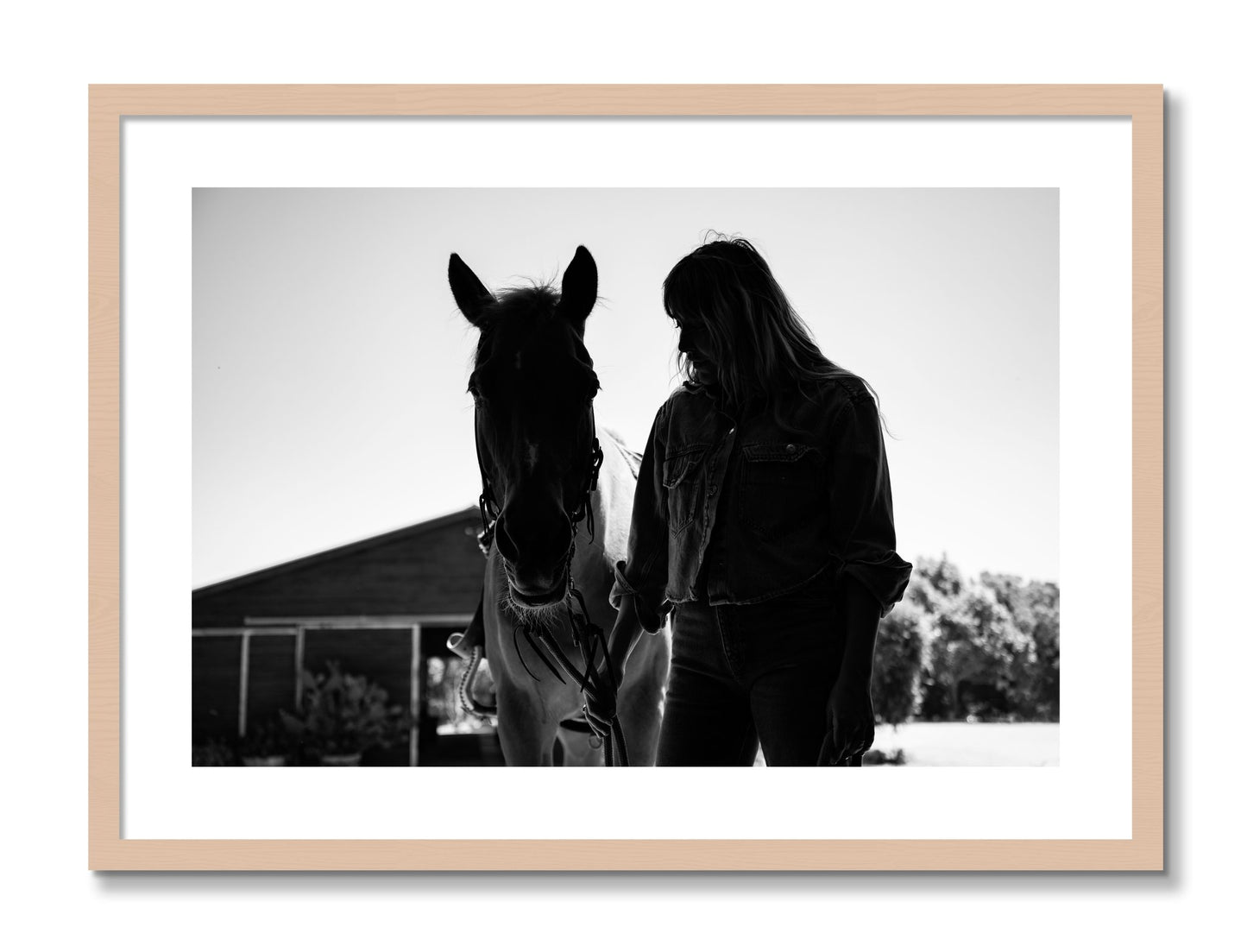 Framed photograph of American Quarter Horse by Dylan Ozanich, Maple frame, Borders