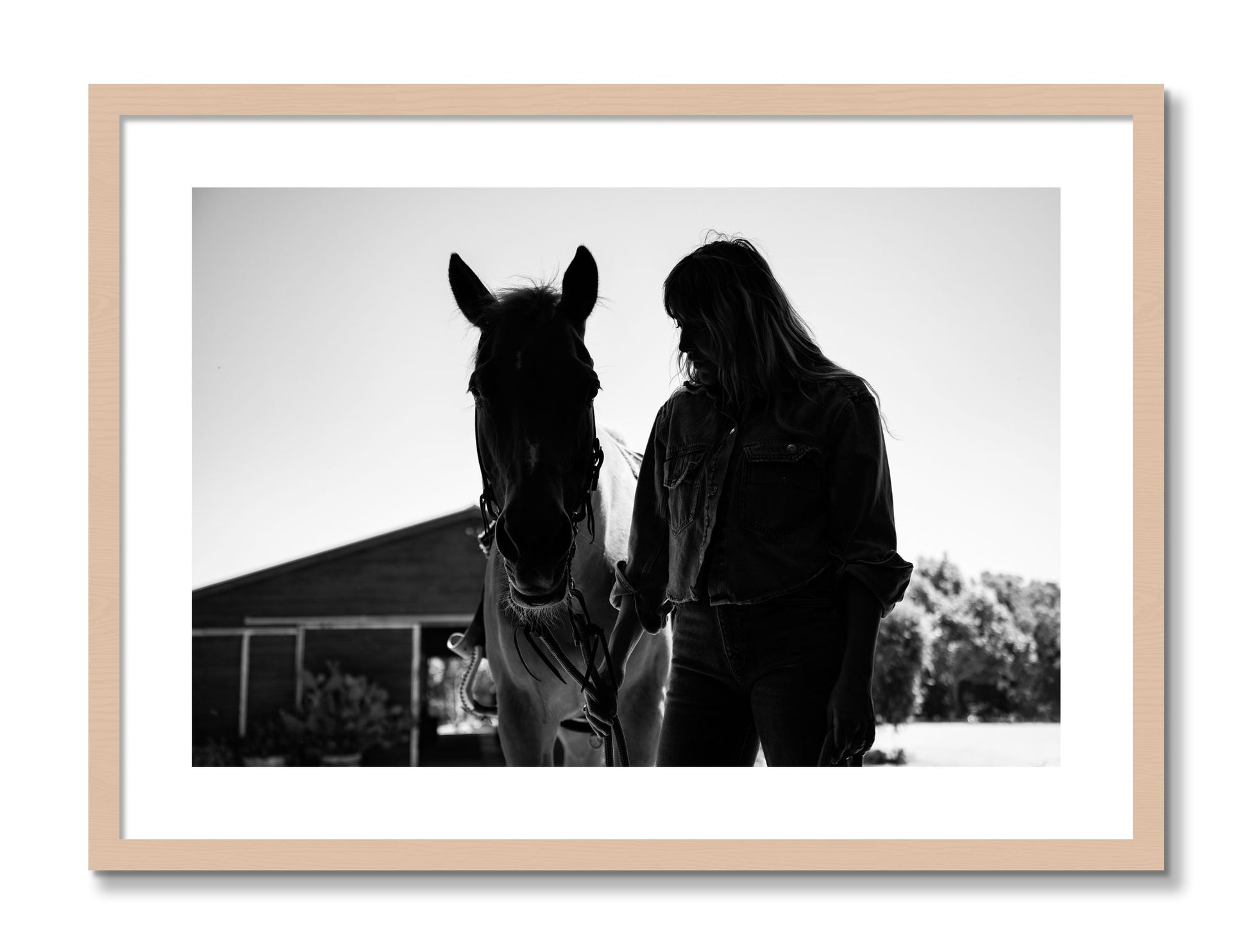 Framed photograph of American Quarter Horse by Dylan Ozanich, Maple frame, Borders