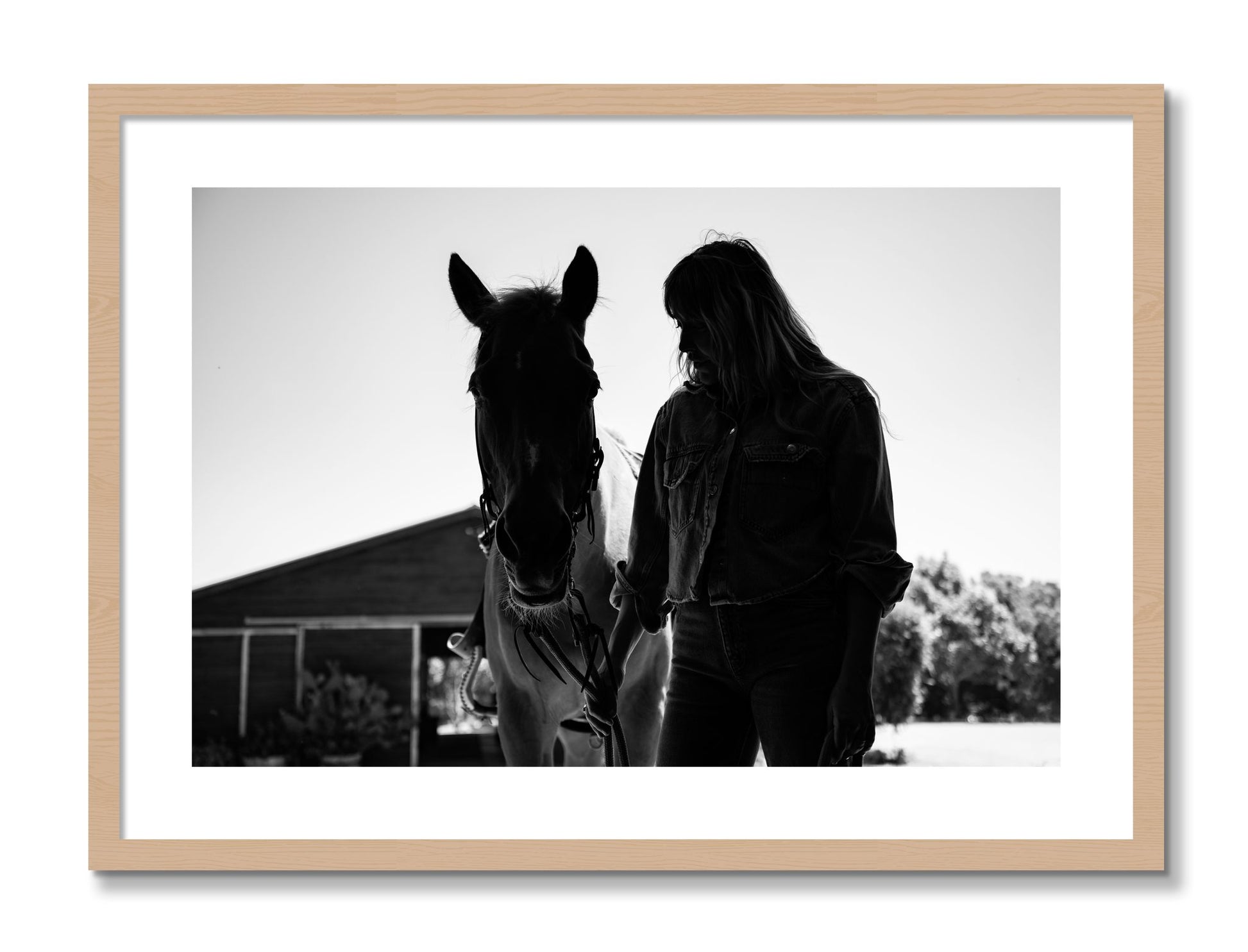 Framed photograph of American Quarter Horse by Dylan Ozanich, Oak frame, Borders