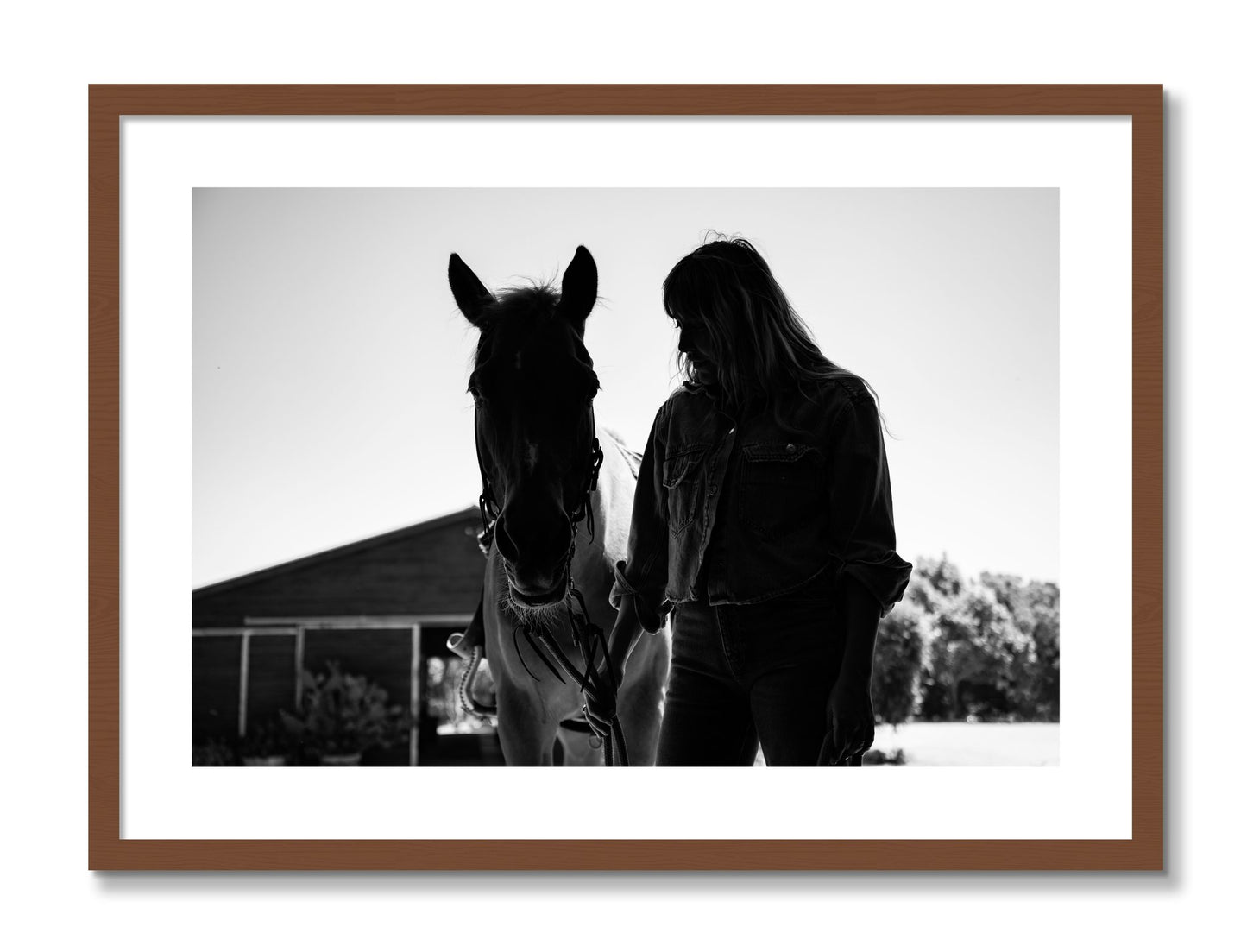 Framed photograph of American Quarter Horse by Dylan Ozanich, Walnut frame, Borders