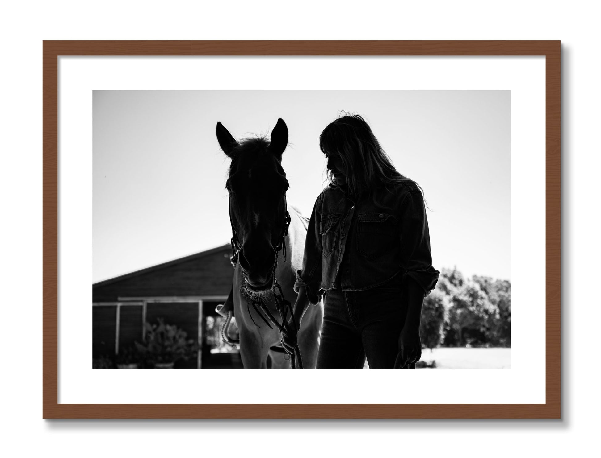 Framed photograph of American Quarter Horse by Dylan Ozanich, Walnut frame, Borders
