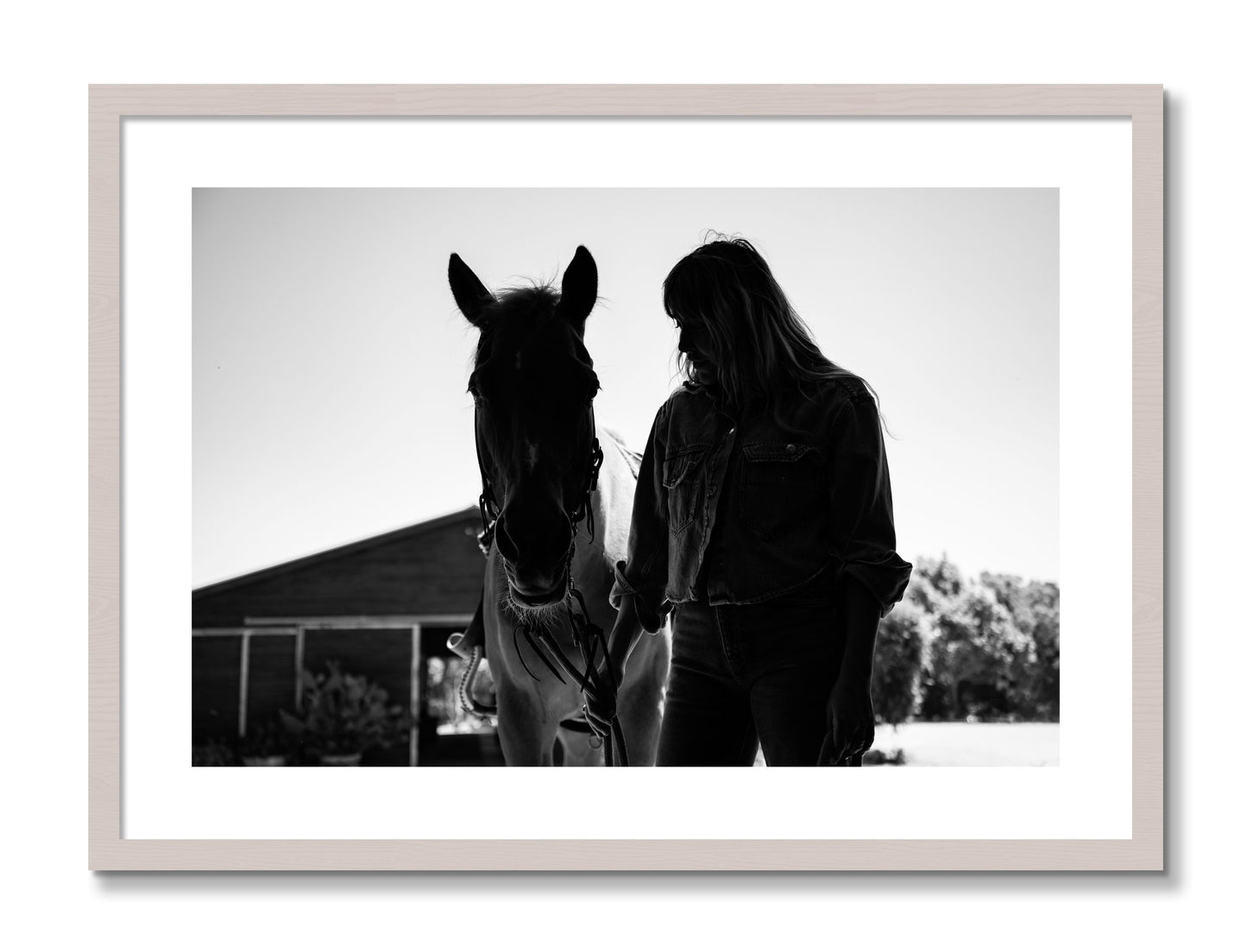 Framed photograph of American Quarter Horse by Dylan Ozanich, White Maple frame, Borders