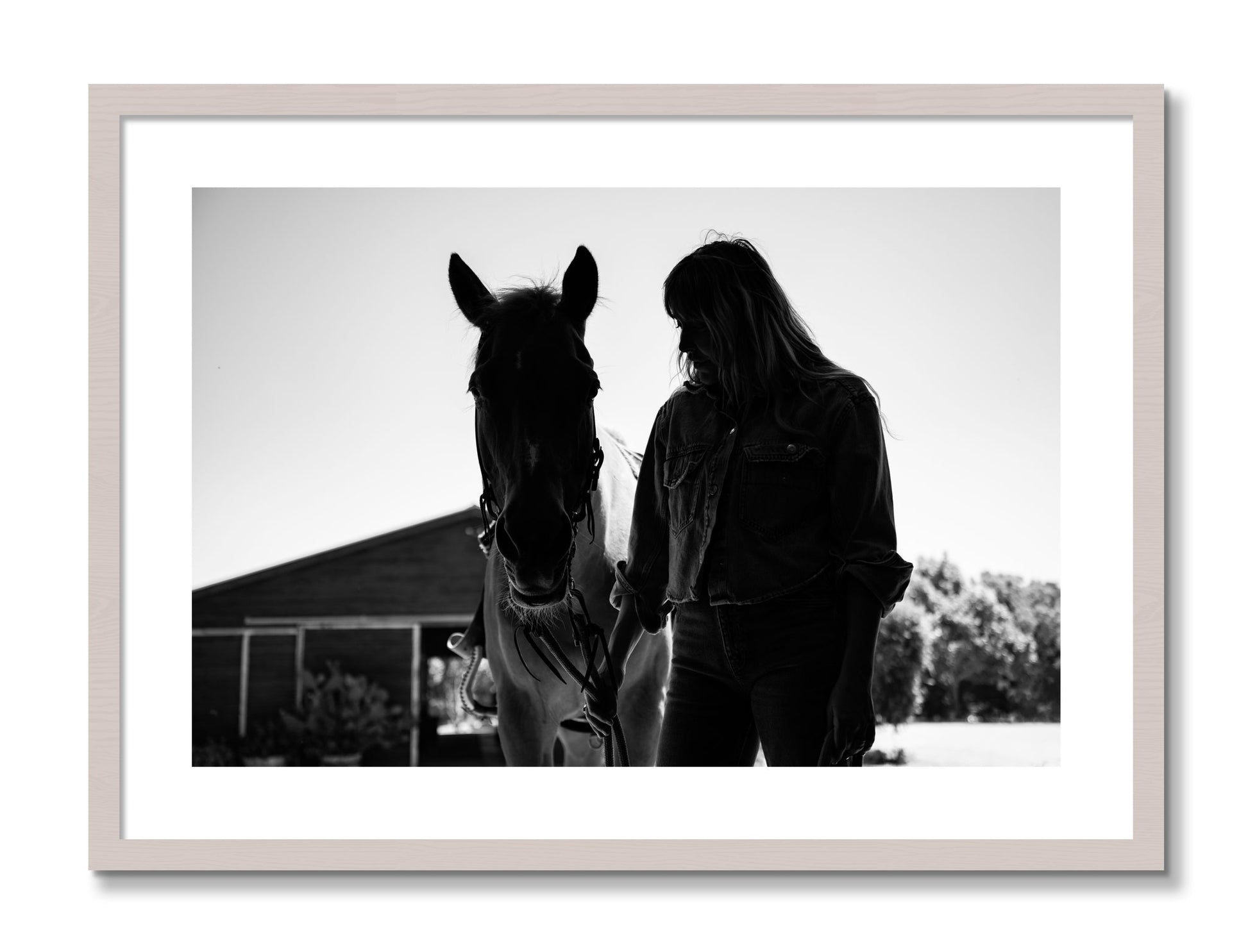 Framed photograph of American Quarter Horse by Dylan Ozanich, White Maple frame, Borders