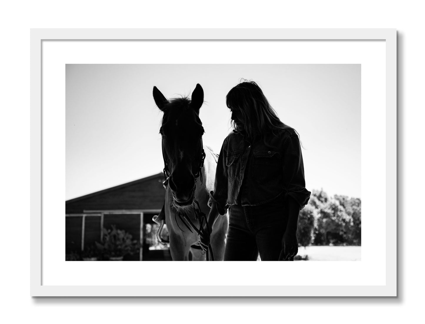 Framed photograph of American Quarter Horse by Dylan Ozanich, White frame, Borders