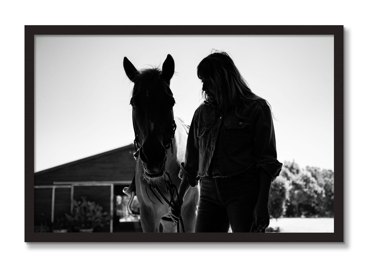 Framed photograph of American Quarter Horse by Dylan Ozanich, Black Walnut frame, Full Bleed