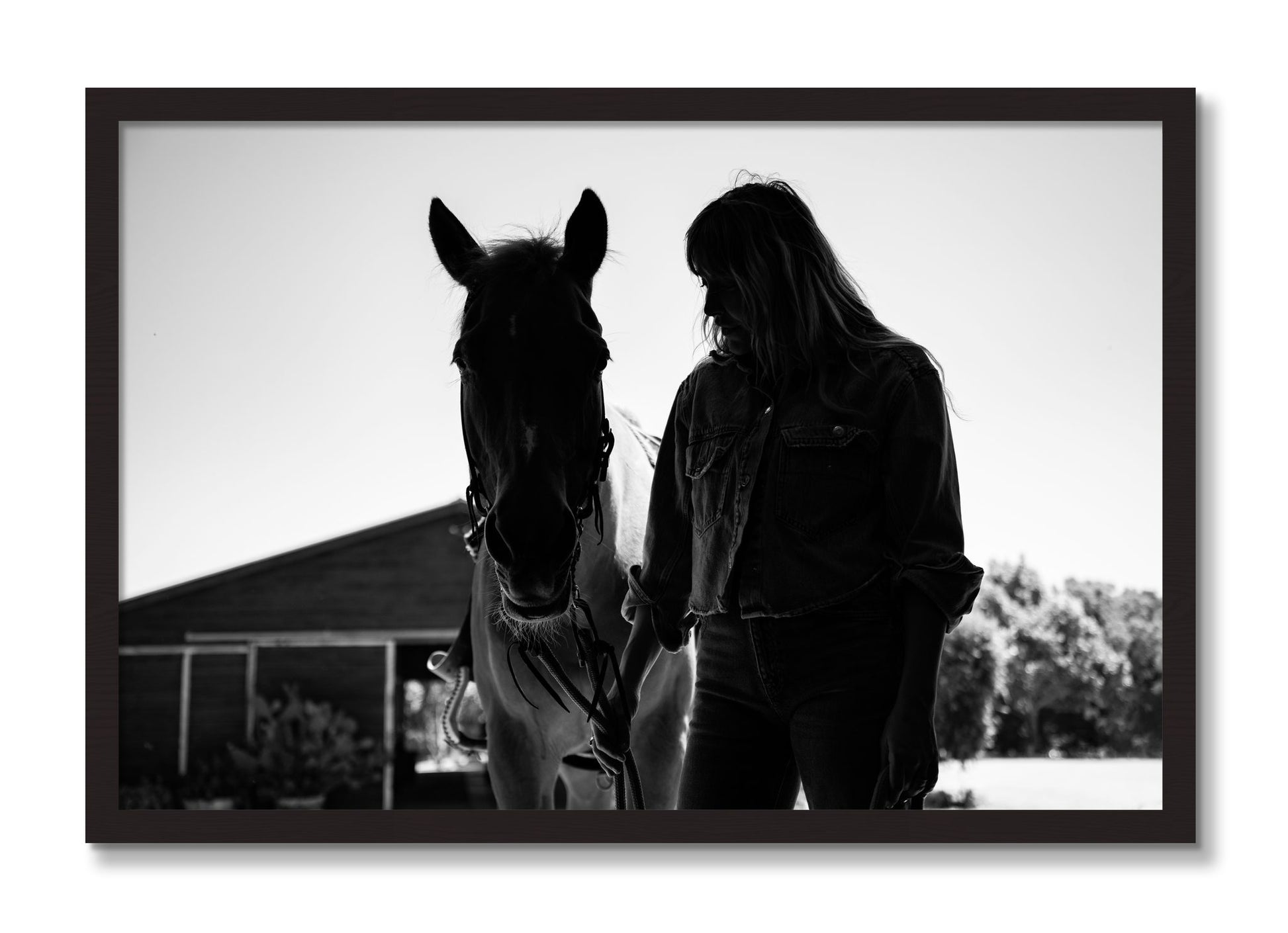 Framed photograph of American Quarter Horse by Dylan Ozanich, Black Walnut frame, Full Bleed