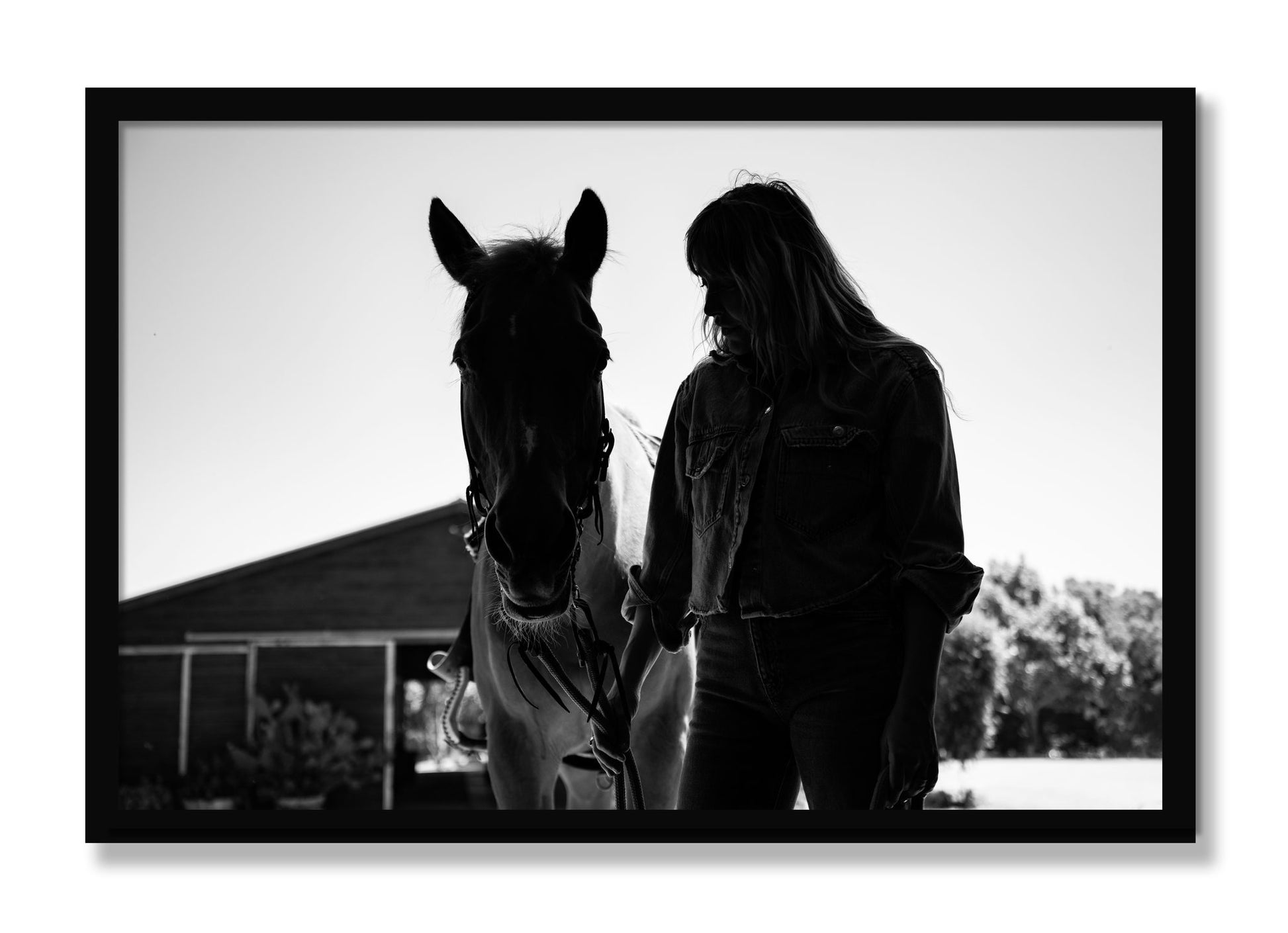 Framed photograph of American Quarter Horse by Dylan Ozanich, Black frame, Full Bleed