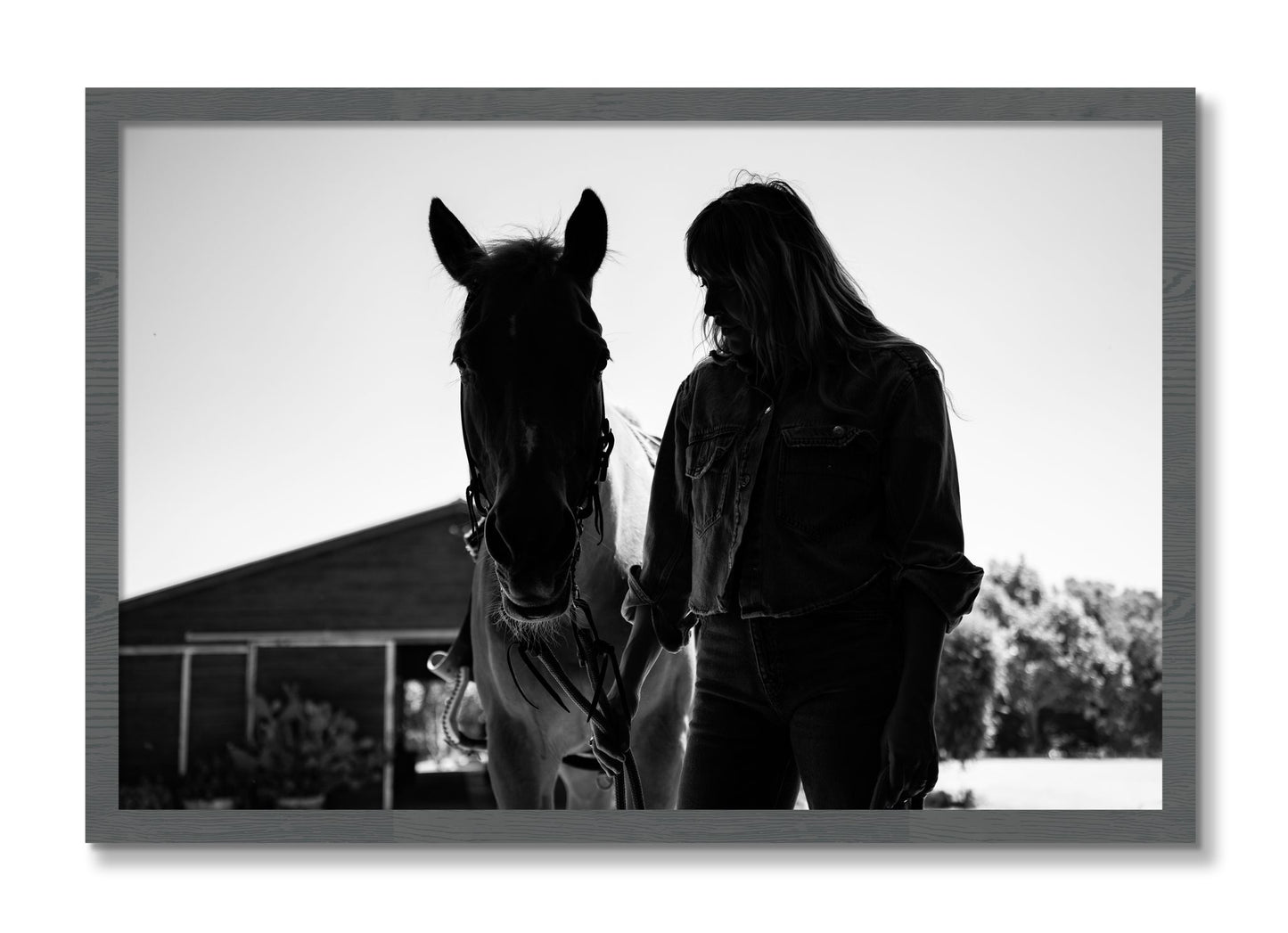 Framed photograph of American Quarter Horse by Dylan Ozanich, Grey frame, Full Bleed