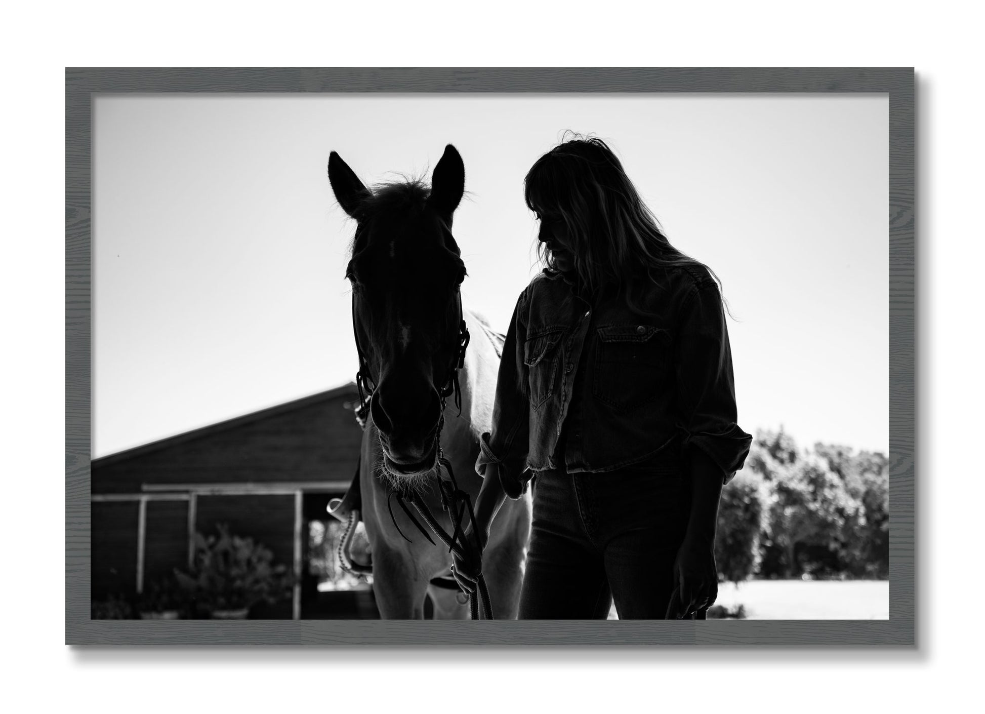 Framed photograph of American Quarter Horse by Dylan Ozanich, Grey frame, Full Bleed