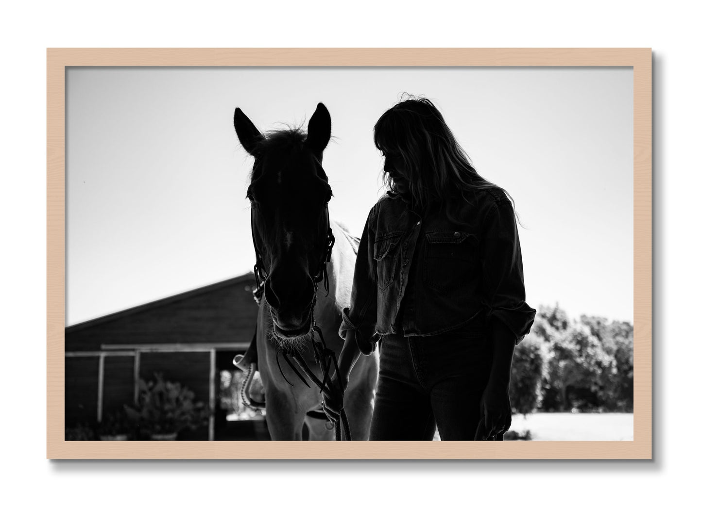 Framed photograph of American Quarter Horse by Dylan Ozanich, Maple frame, Full Bleed
