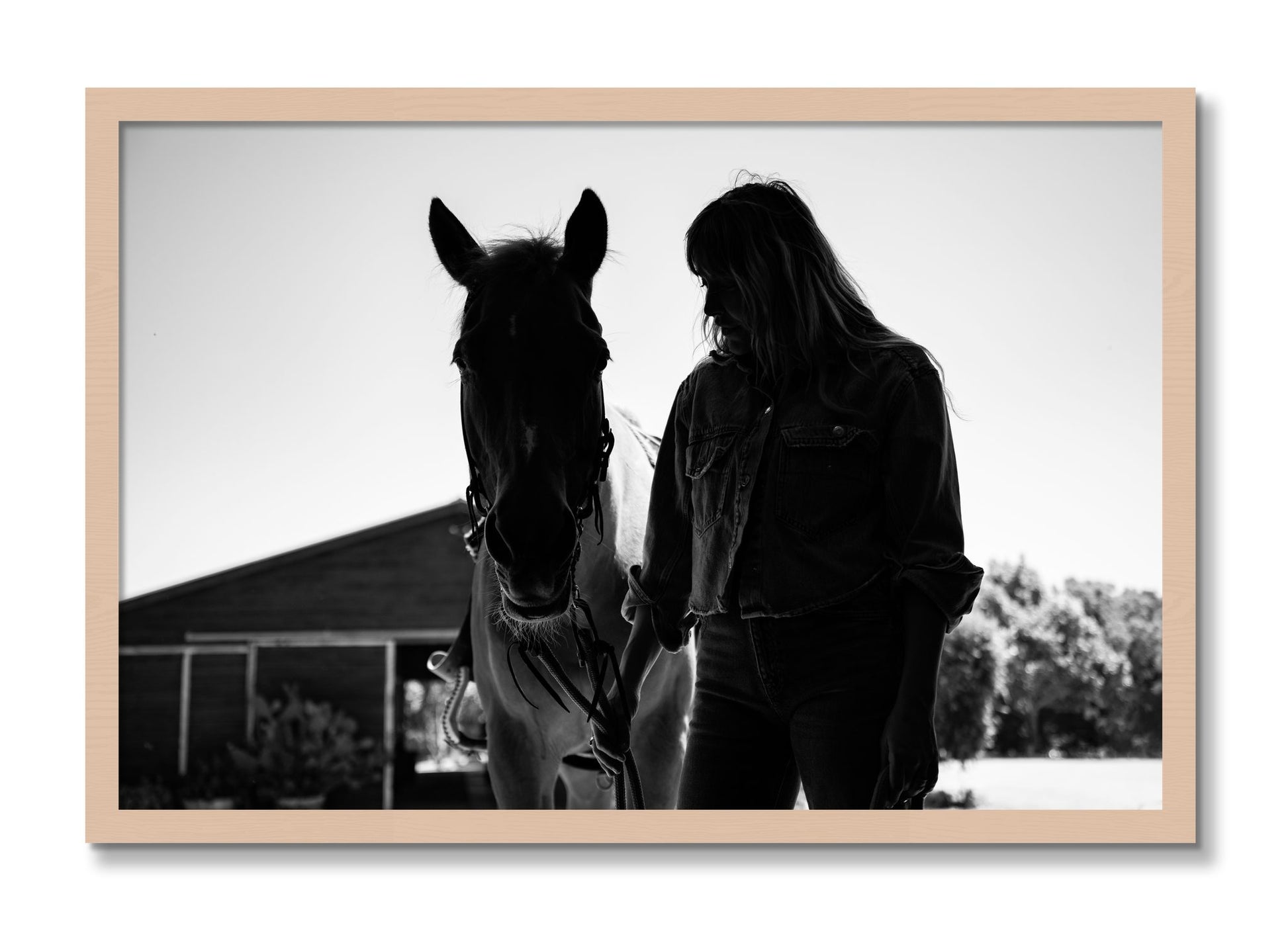 Framed photograph of American Quarter Horse by Dylan Ozanich, Maple frame, Full Bleed