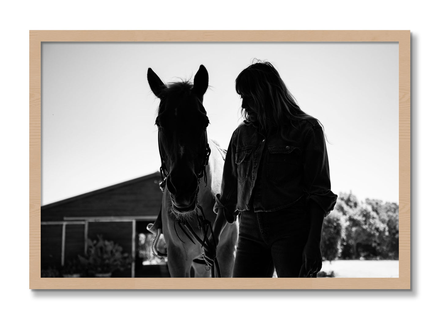 Framed photograph of American Quarter Horse by Dylan Ozanich, Oak frame, Full Bleed