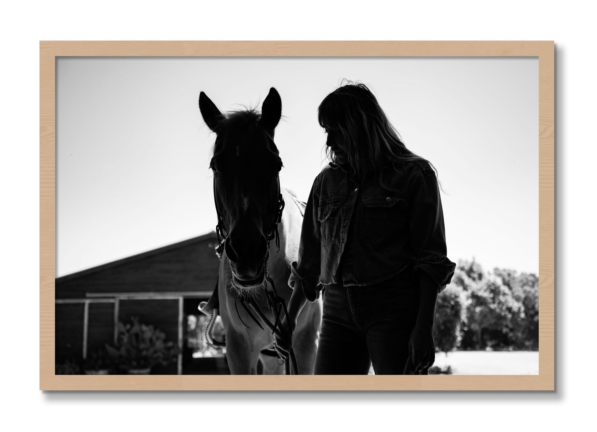 Framed photograph of American Quarter Horse by Dylan Ozanich, Oak frame, Full Bleed