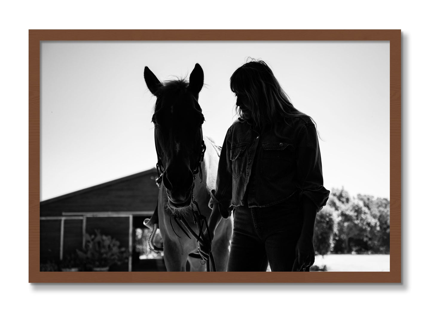 Framed photograph of American Quarter Horse by Dylan Ozanich, Walnut frame, Full Bleed