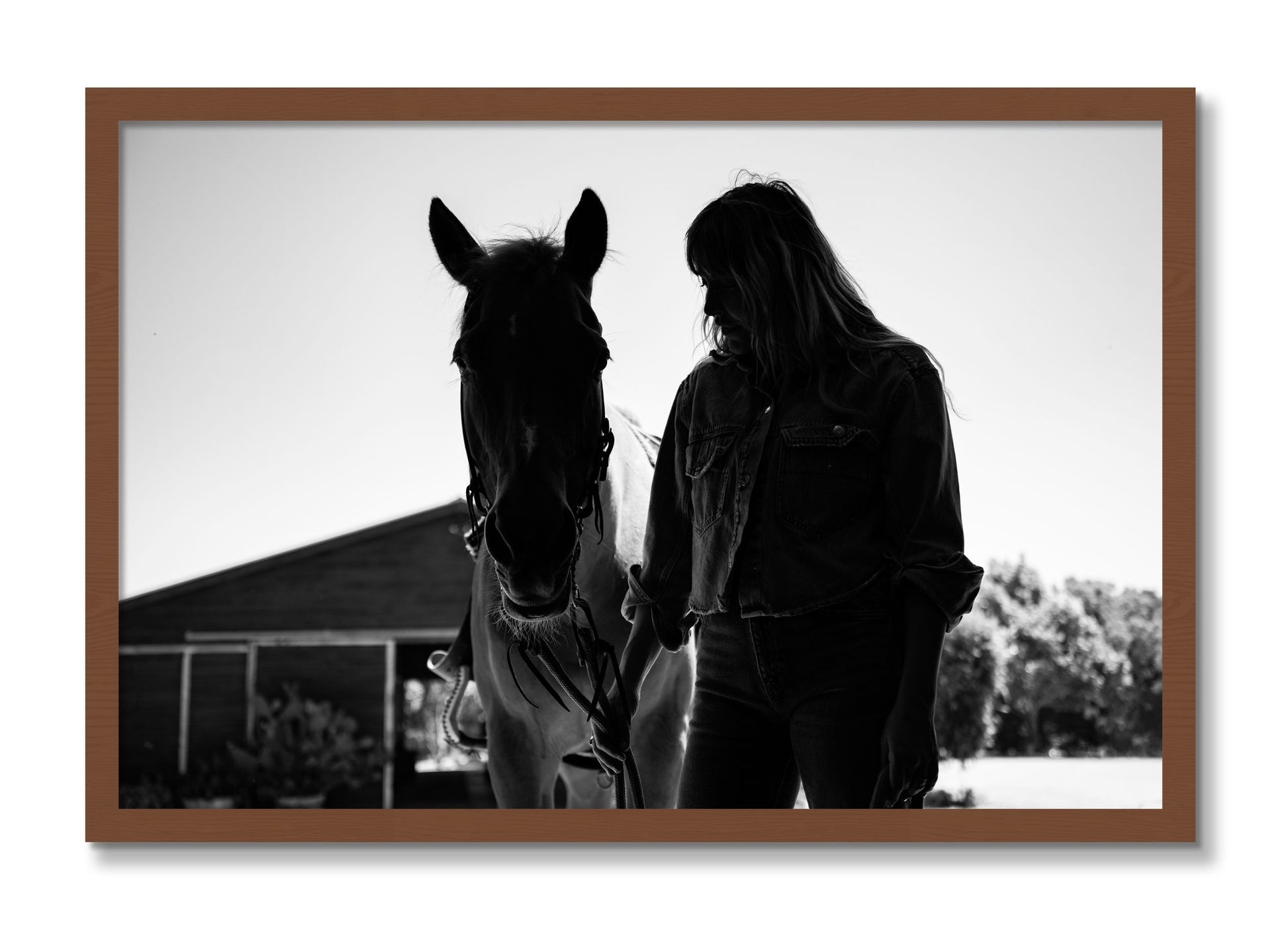 Framed photograph of American Quarter Horse by Dylan Ozanich, Walnut frame, Full Bleed