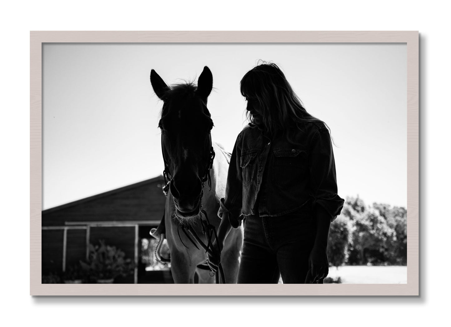 Framed photograph of American Quarter Horse by Dylan Ozanich, White Maple frame, Full Bleed