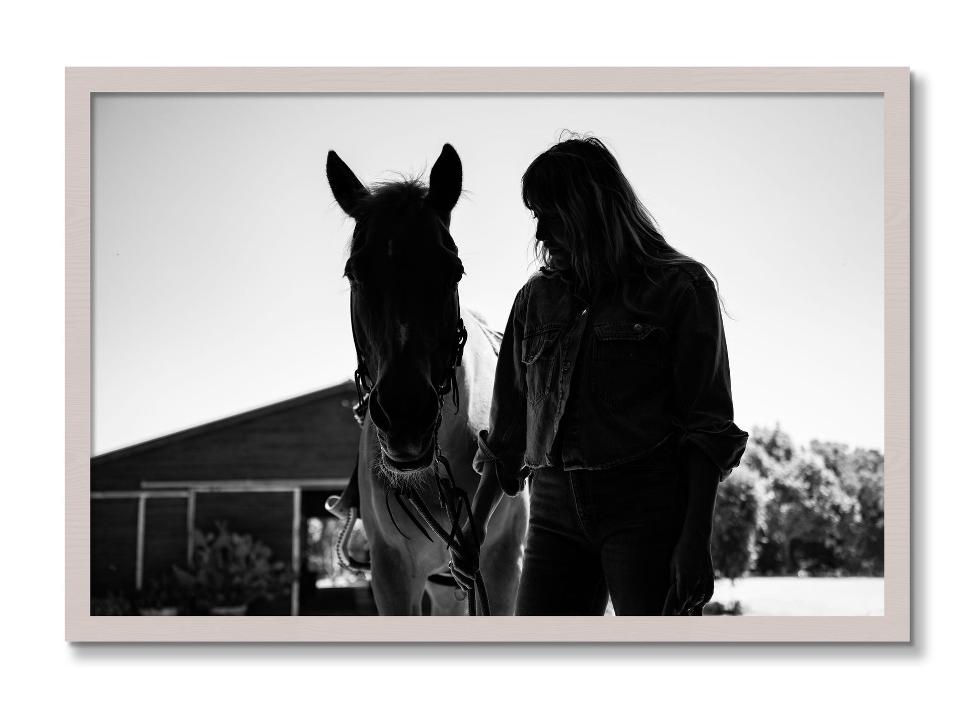 Framed photograph of American Quarter Horse by Dylan Ozanich, White Maple frame, Full Bleed