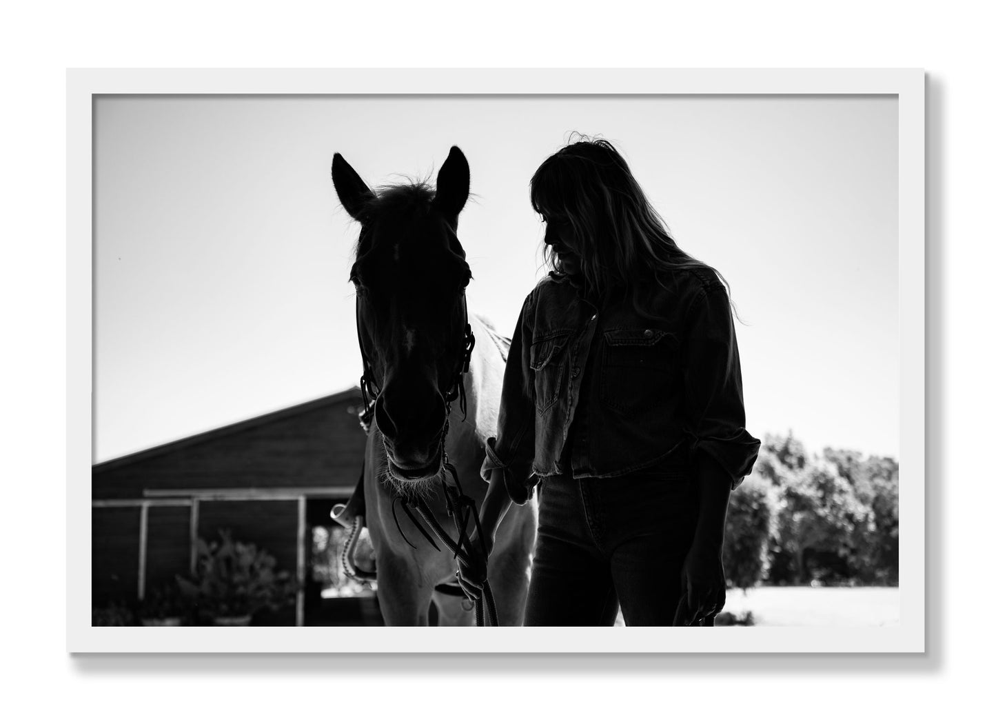 Framed photograph of American Quarter Horse by Dylan Ozanich, White frame, Full Bleed
