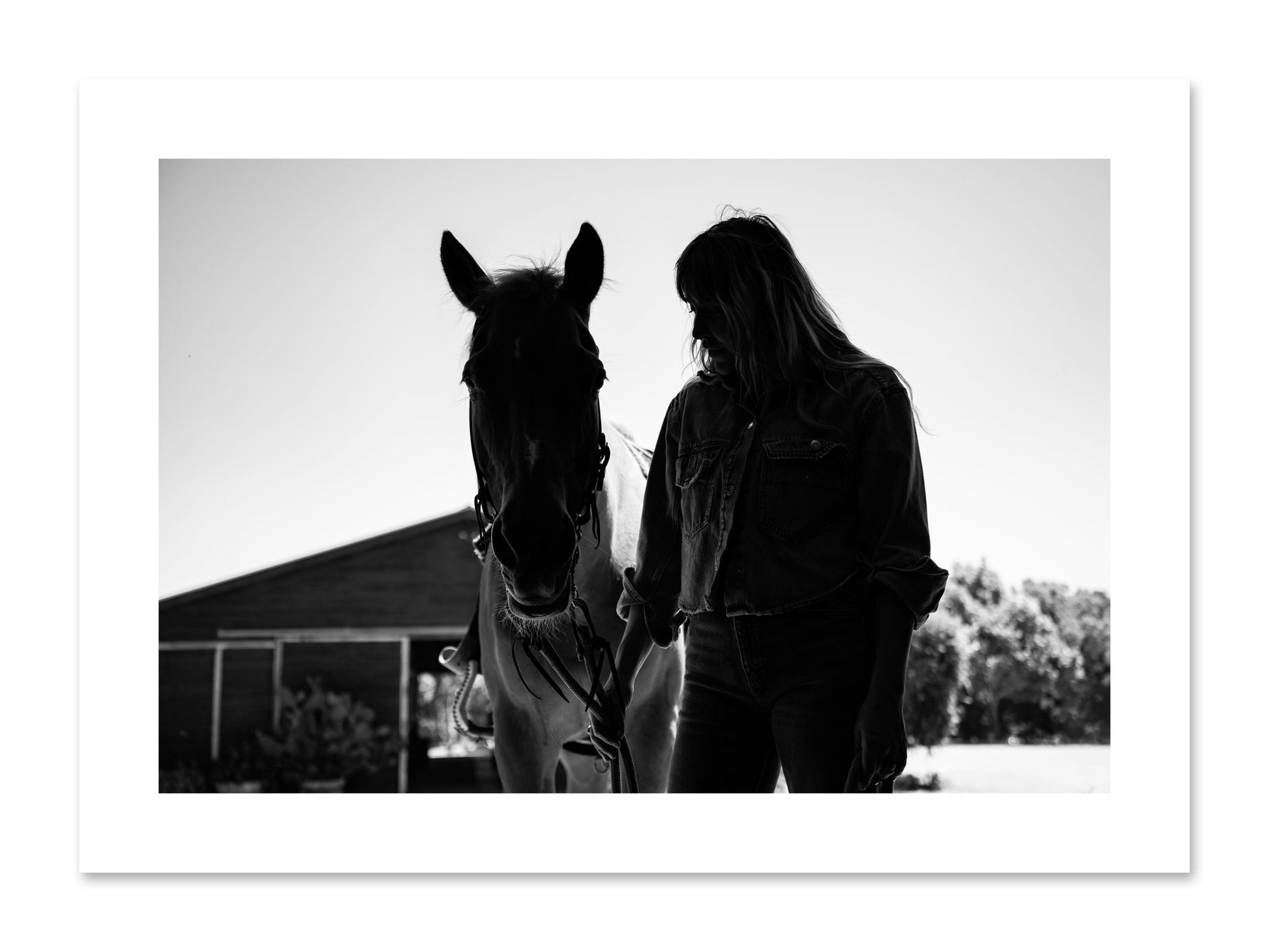 Fine art print of American Quarter Horse by Dylan Ozanich, unframed