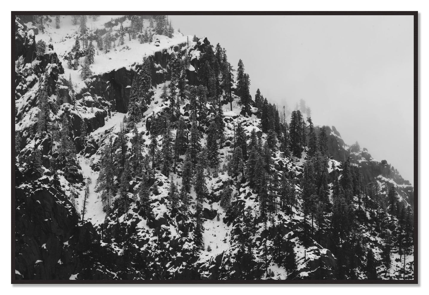 Ascend by Dylan Ozanich, 48×72 Full Bleed Print in a Black Walnut frame