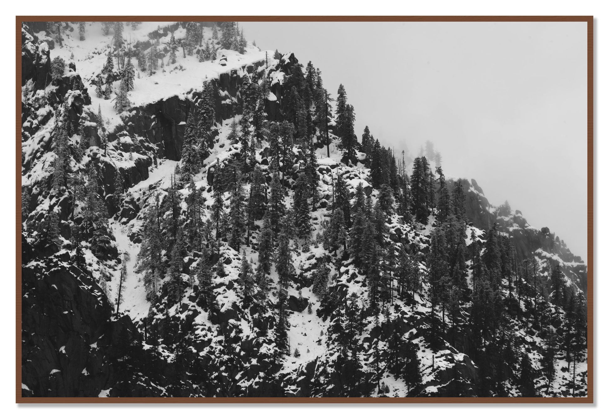 Ascend by Dylan Ozanich, 48×72 Full Bleed Print in a Walnut frame