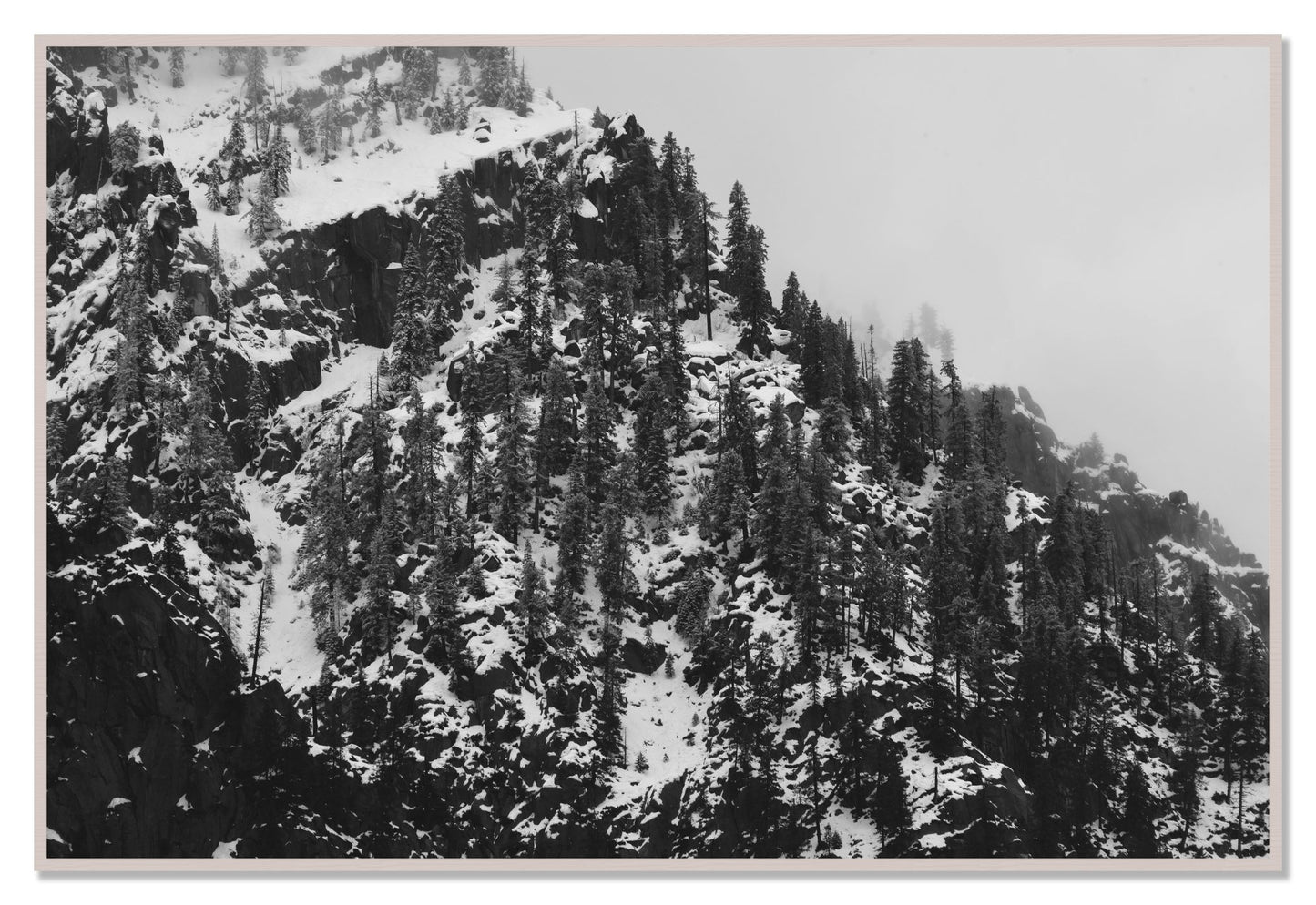 Ascend by Dylan Ozanich, 48×72 Full Bleed Print in a White Maple frame