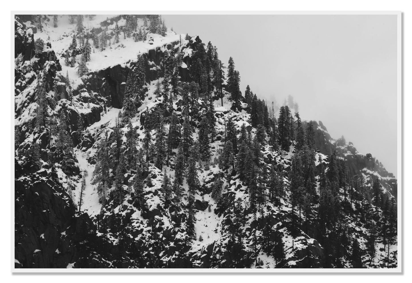 Ascend by Dylan Ozanich, 48×72 Full Bleed Print in a White frame